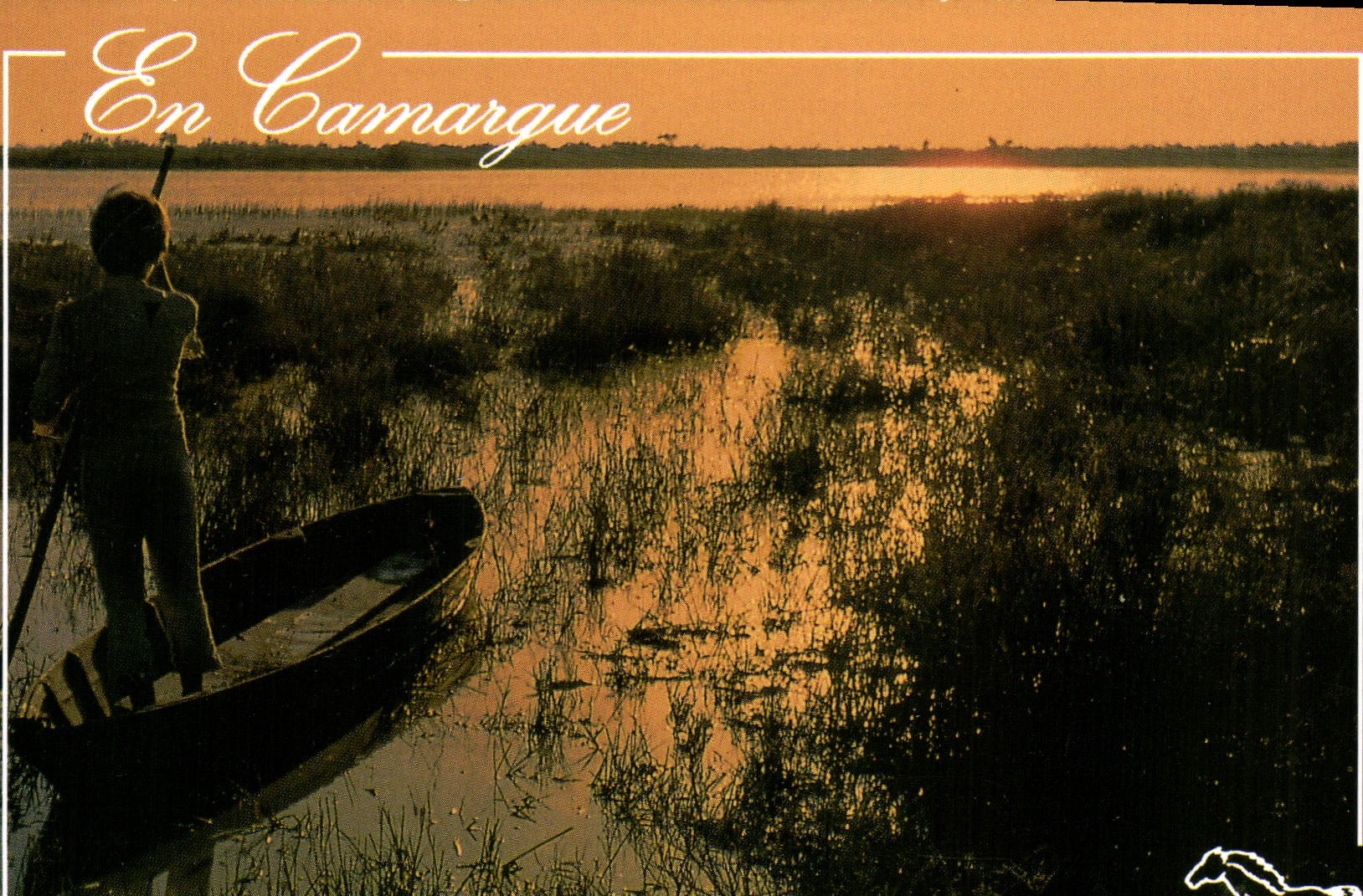 CPM En Camargue L'Etang de Vaccares