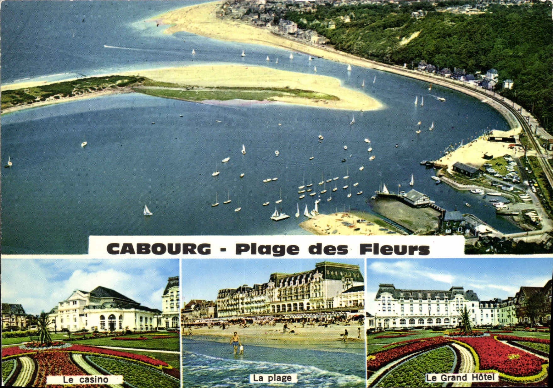 CPM La Cote Fleurie Cabourg Calvados 