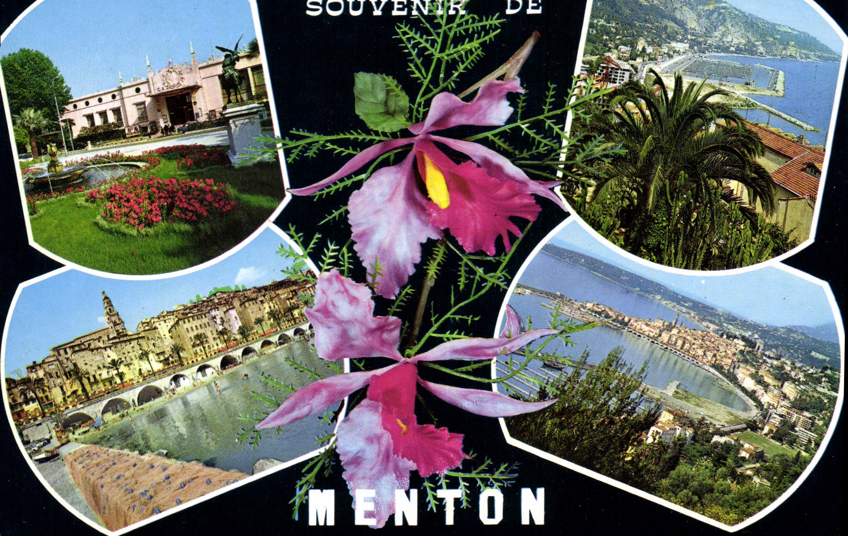 CPM Menton Casino panorama du Port Le Vieille Ville