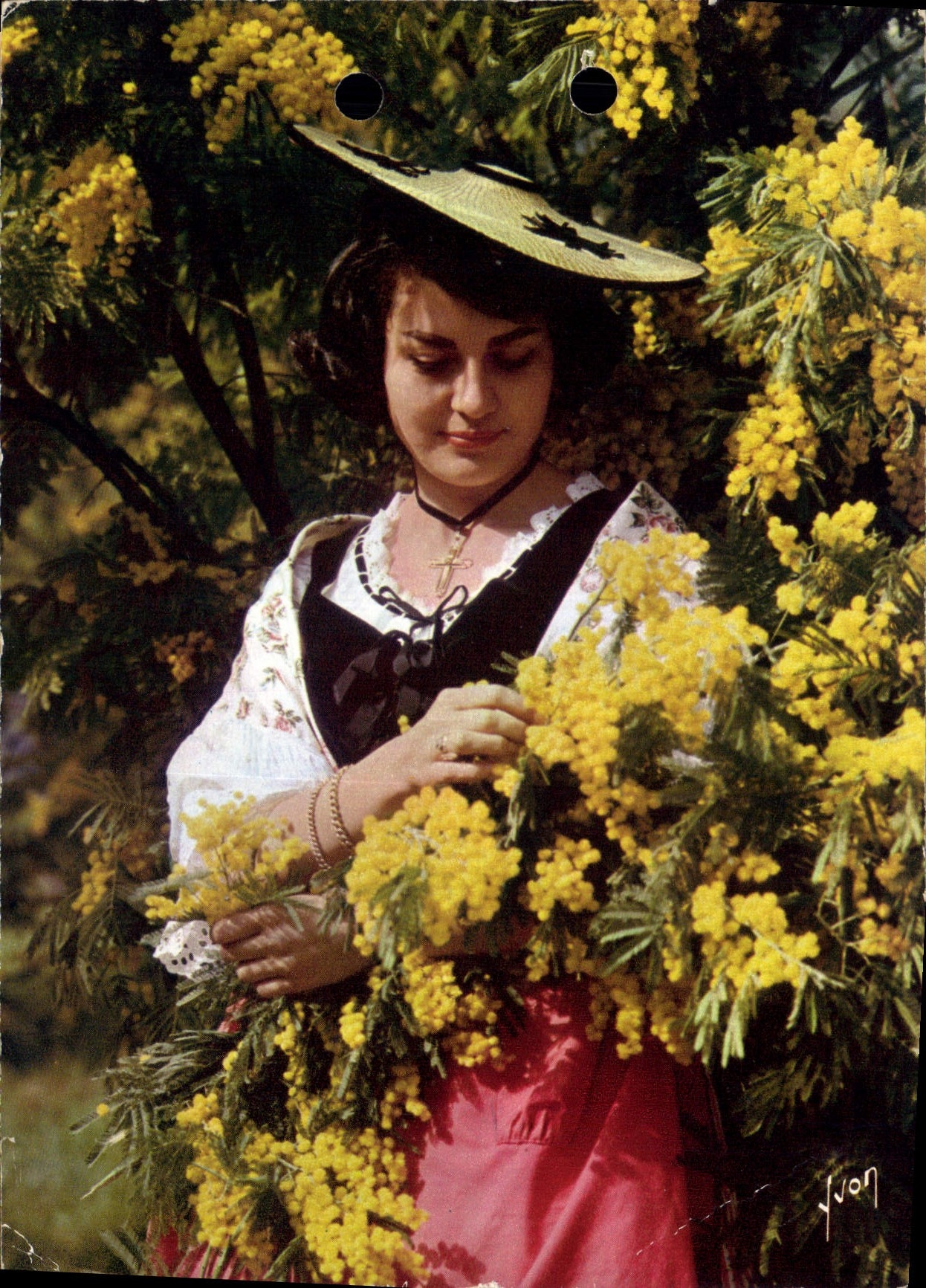 CPM Couleurs et Lumiere de France La Cote d'Azur miracle de la nautre Voici des fleurs 