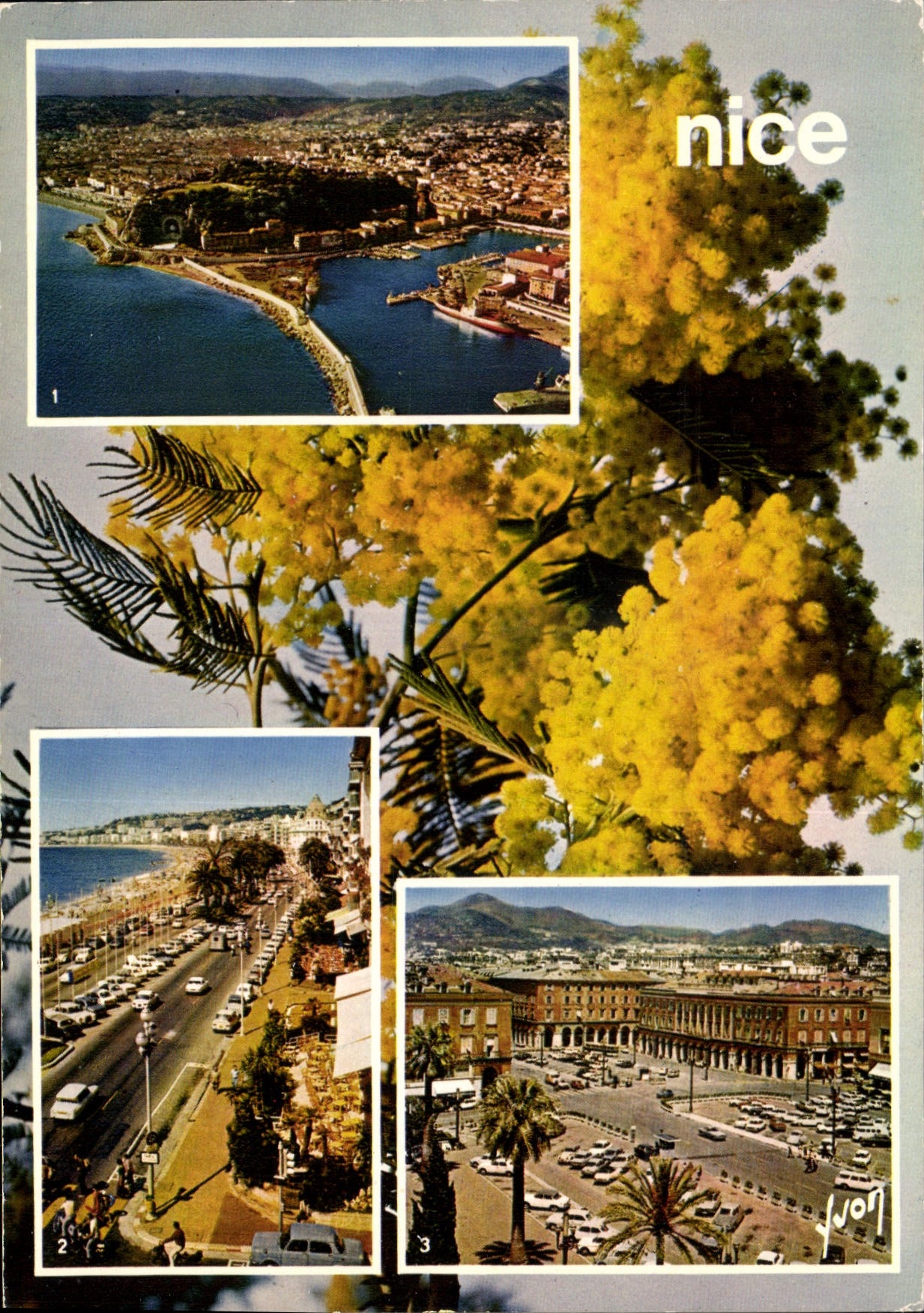 CPM Couleurs et Lumiere de France La Cote d'Azur Miracle de la Nature Nice Alpes Maritimes 