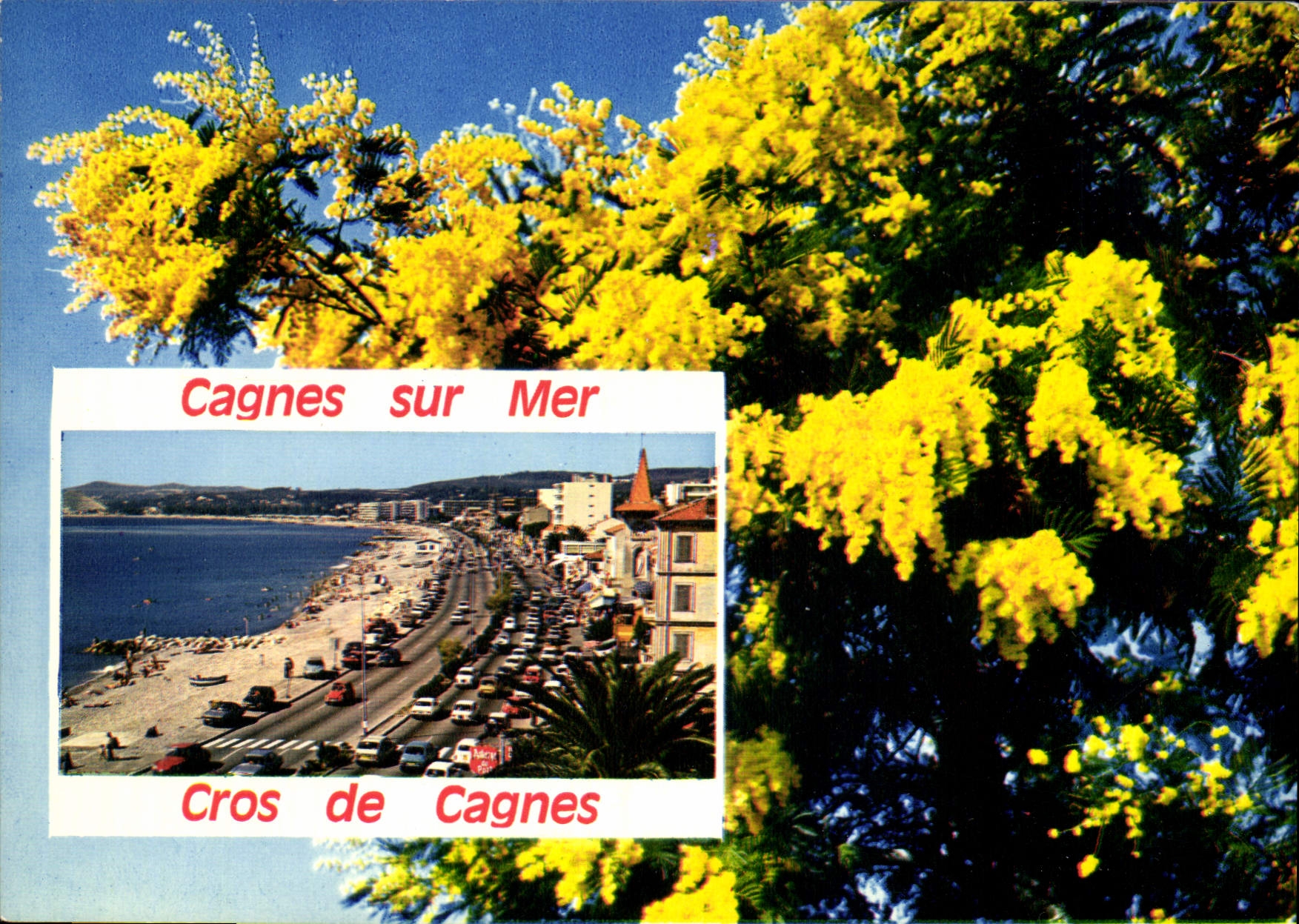 CPM La Cote d'Azur French Riviera Cagnes sur Mer Cros de Cagnes 