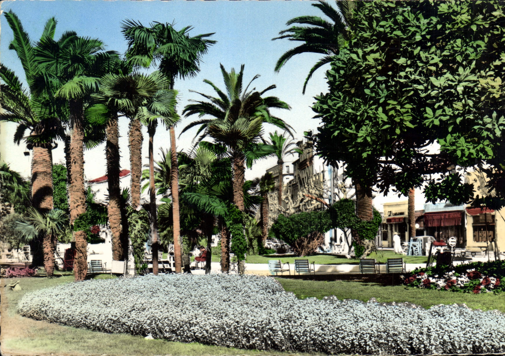 CPM La Cote d'Azur Cannes Le Jardin 