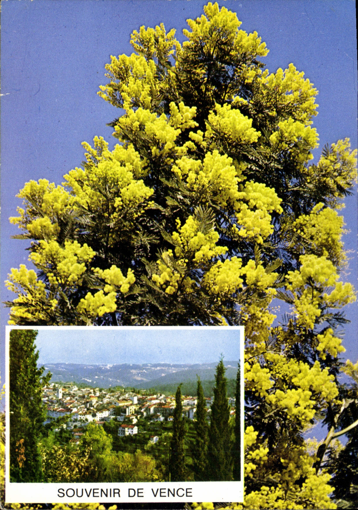 CPM Souvenir de Vence 