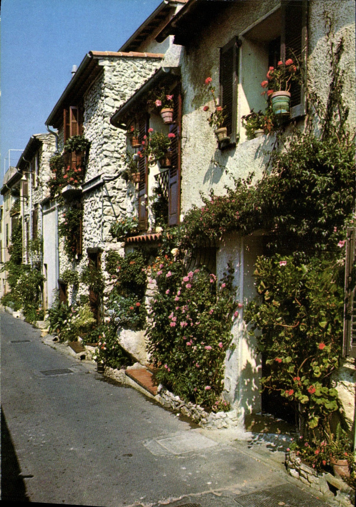 CPM Cote d'Azur Provence et ses vieilles reus fleuries Le vieil Antibes 