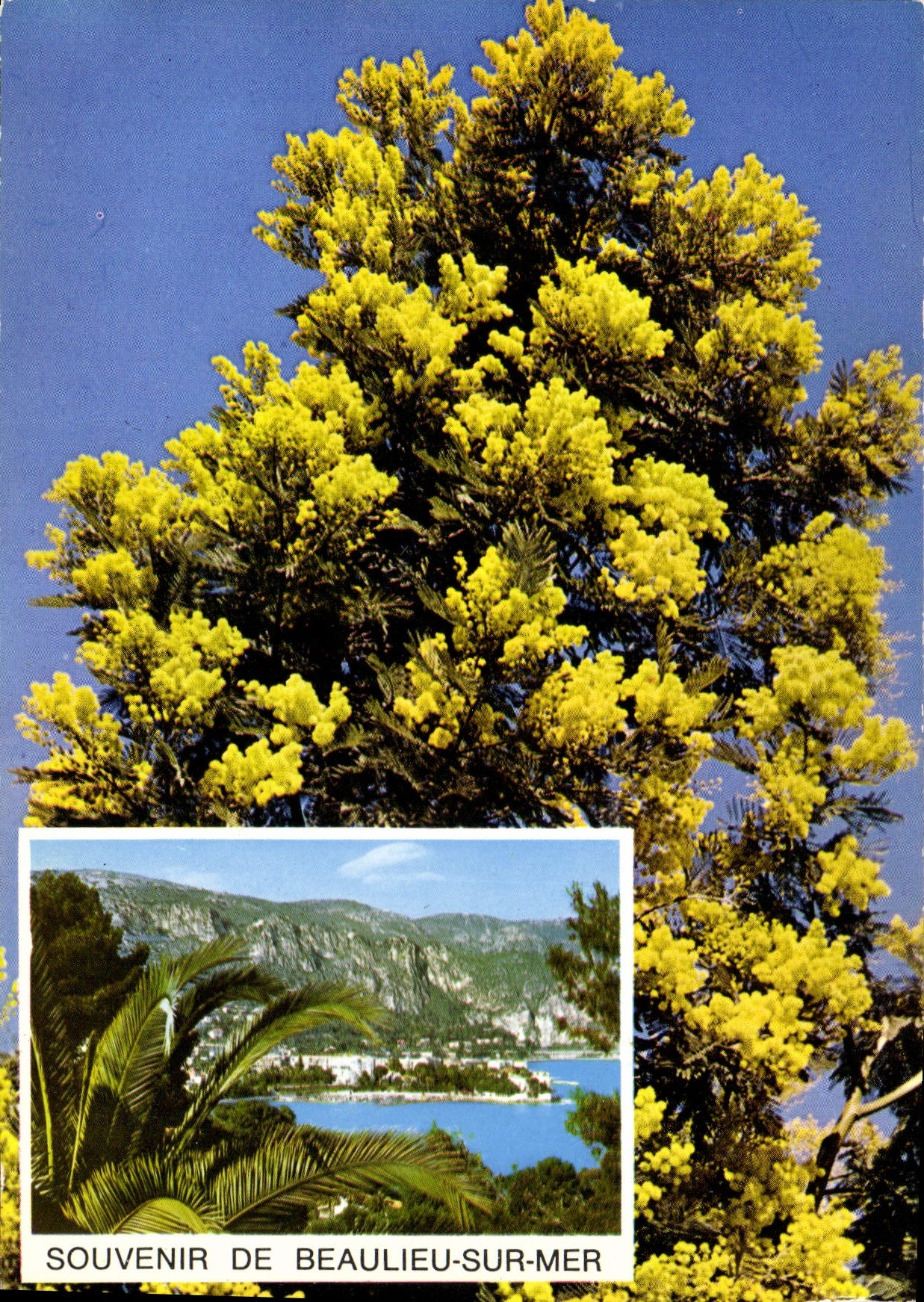 CPM Souvenir de Beaulieu sur Mer
