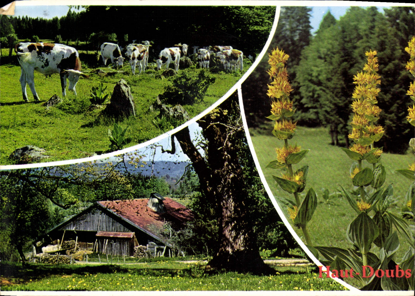 CPM Images de Franche Comte Besancon Doubs Aspects de Haut Doubs A proximite des vieilles fermes a T