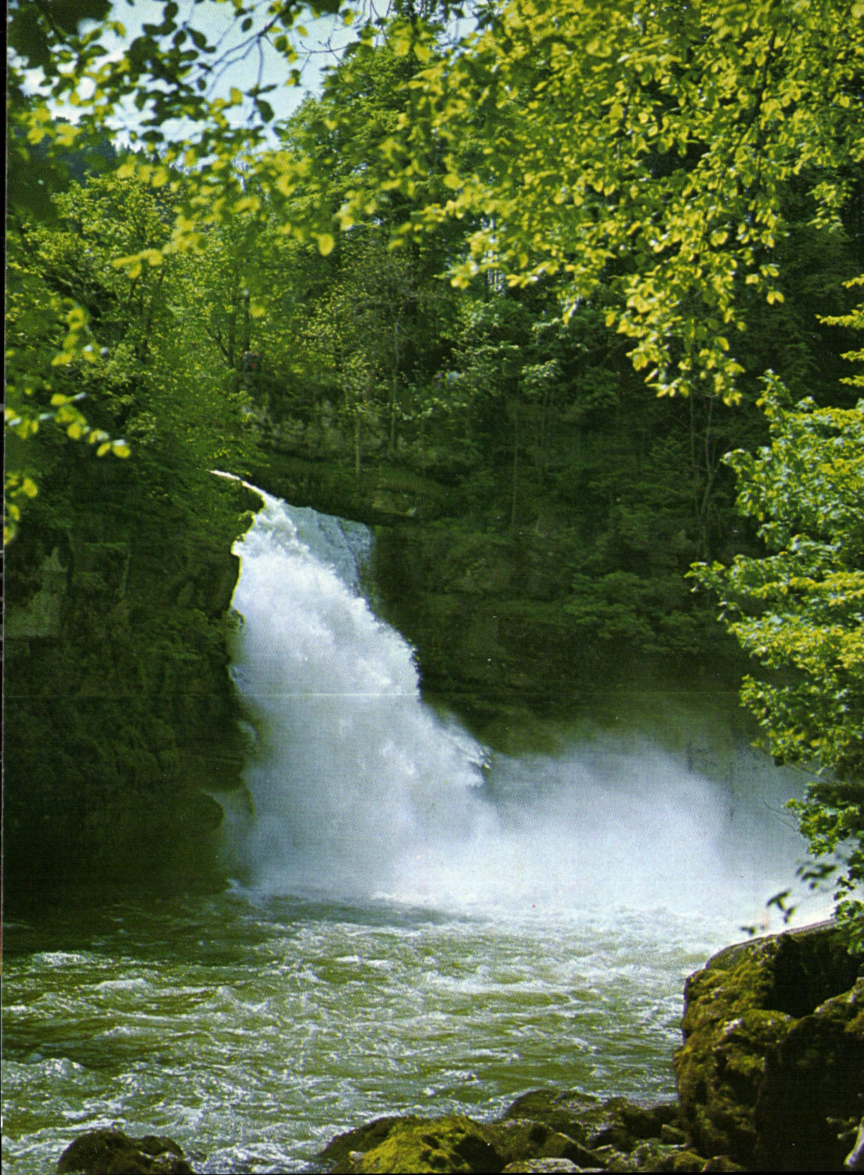 CPM La Franche Comte Pittoresque Le Saut du Doubs Frontiere Franco Suisse Le Saut du Doubs Hautuer 