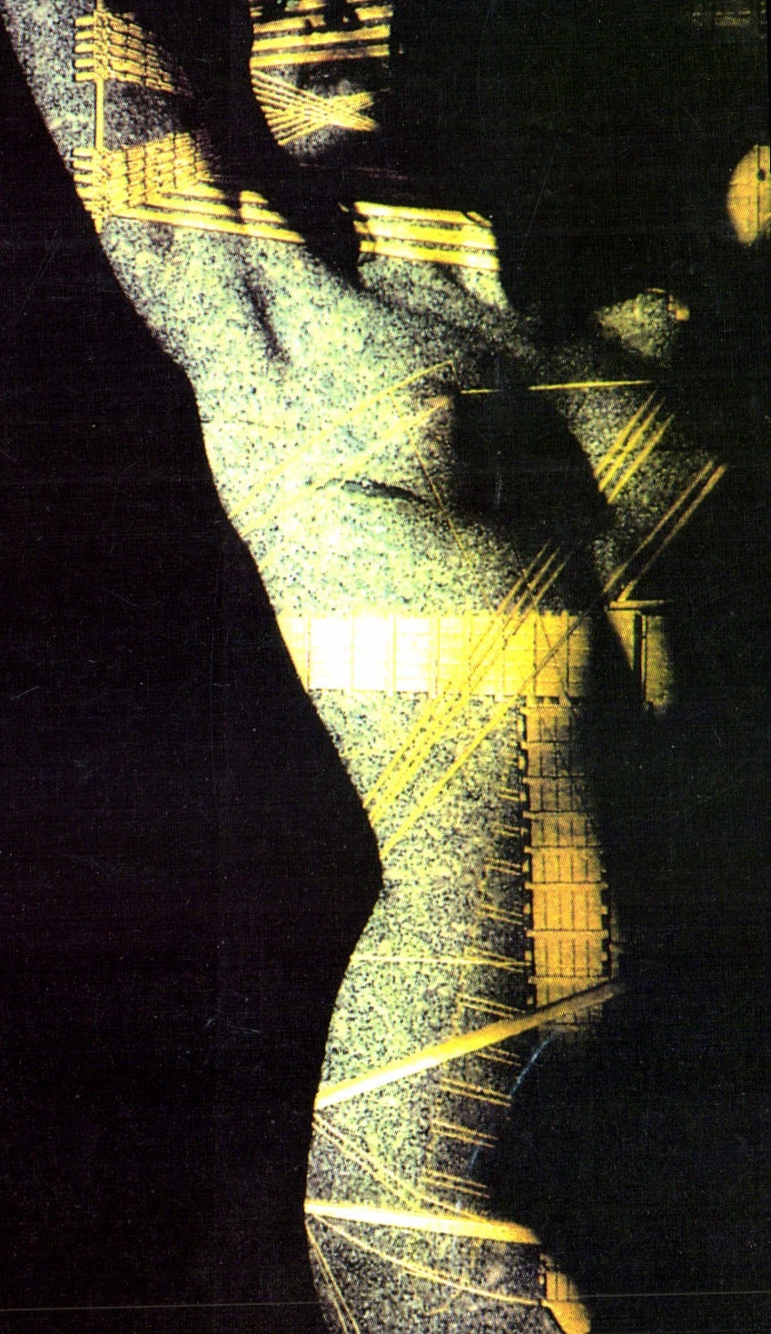 CPM Dans la serie Metamorphoses voici celle de Madame 