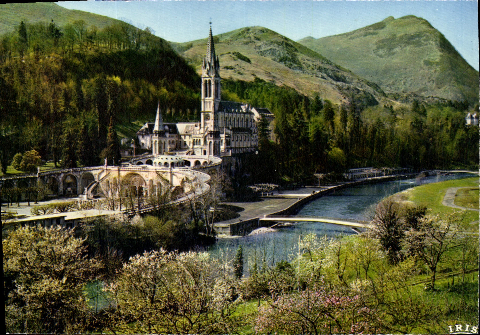 CPM Lourdes La Basilique le Gave et les nouveaux Ponts inaugures le Mars 1966 