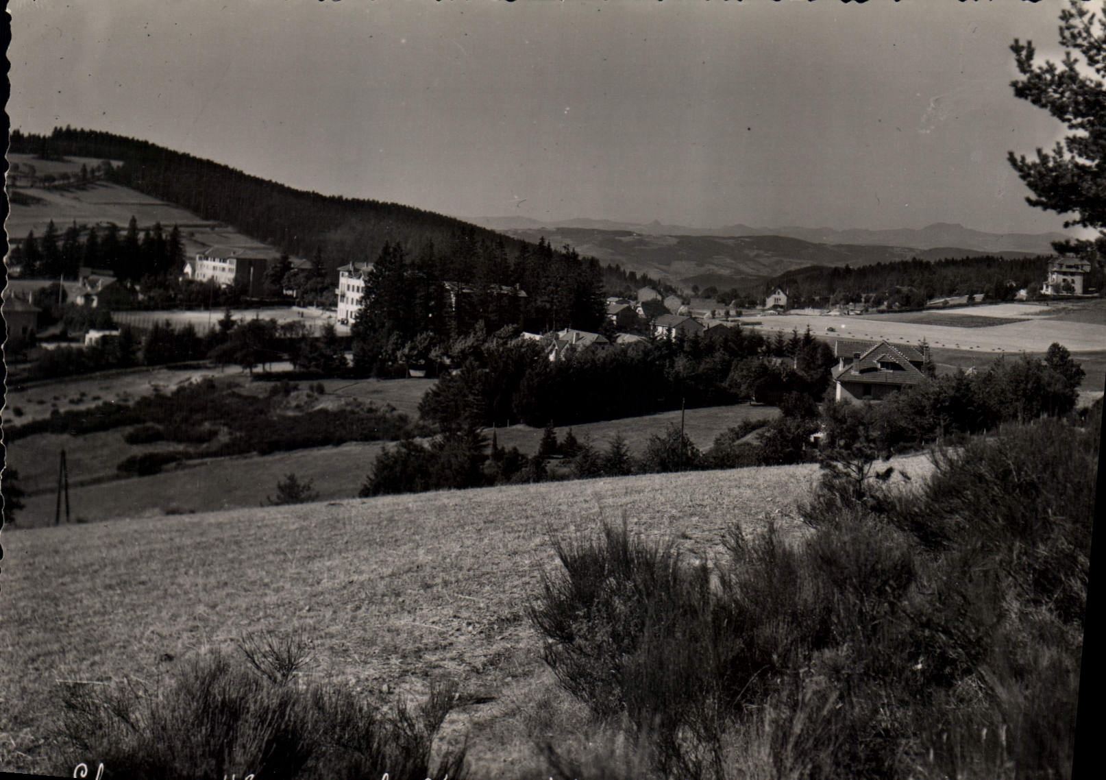CPM La Louvesc Ardeche vue sur les Cevennes Mezenc