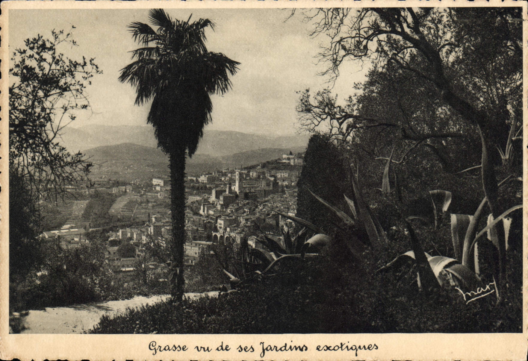 CPM Grasse vu de ses jardin exotiques 