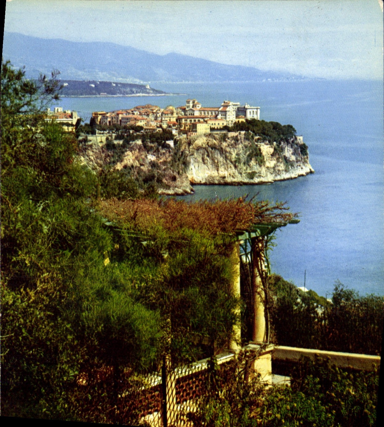 CPM Couleurs et Lumiere de France La Cote d'Azur miracle de la nature Principaute de Monaco 