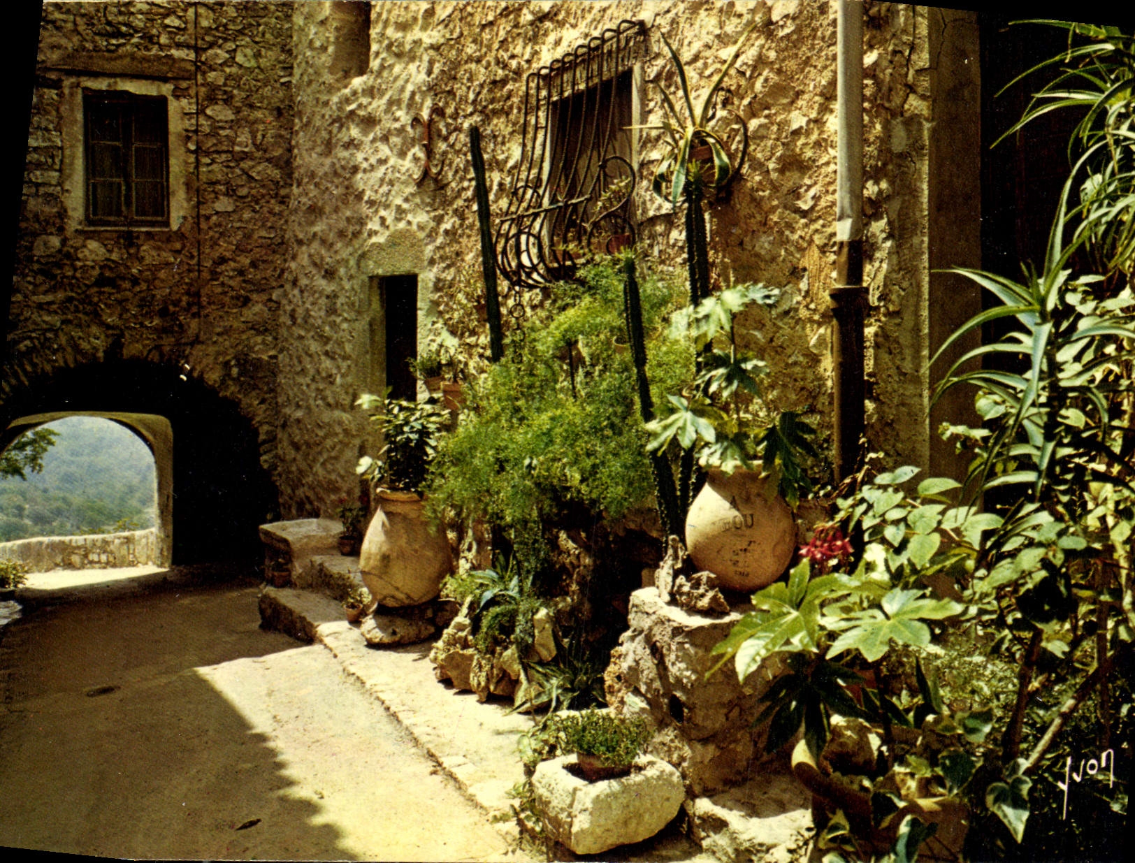 CPM Couleurs et Lumiere de France La Cote d'Azur miracle de la nature En provence vieille rue 