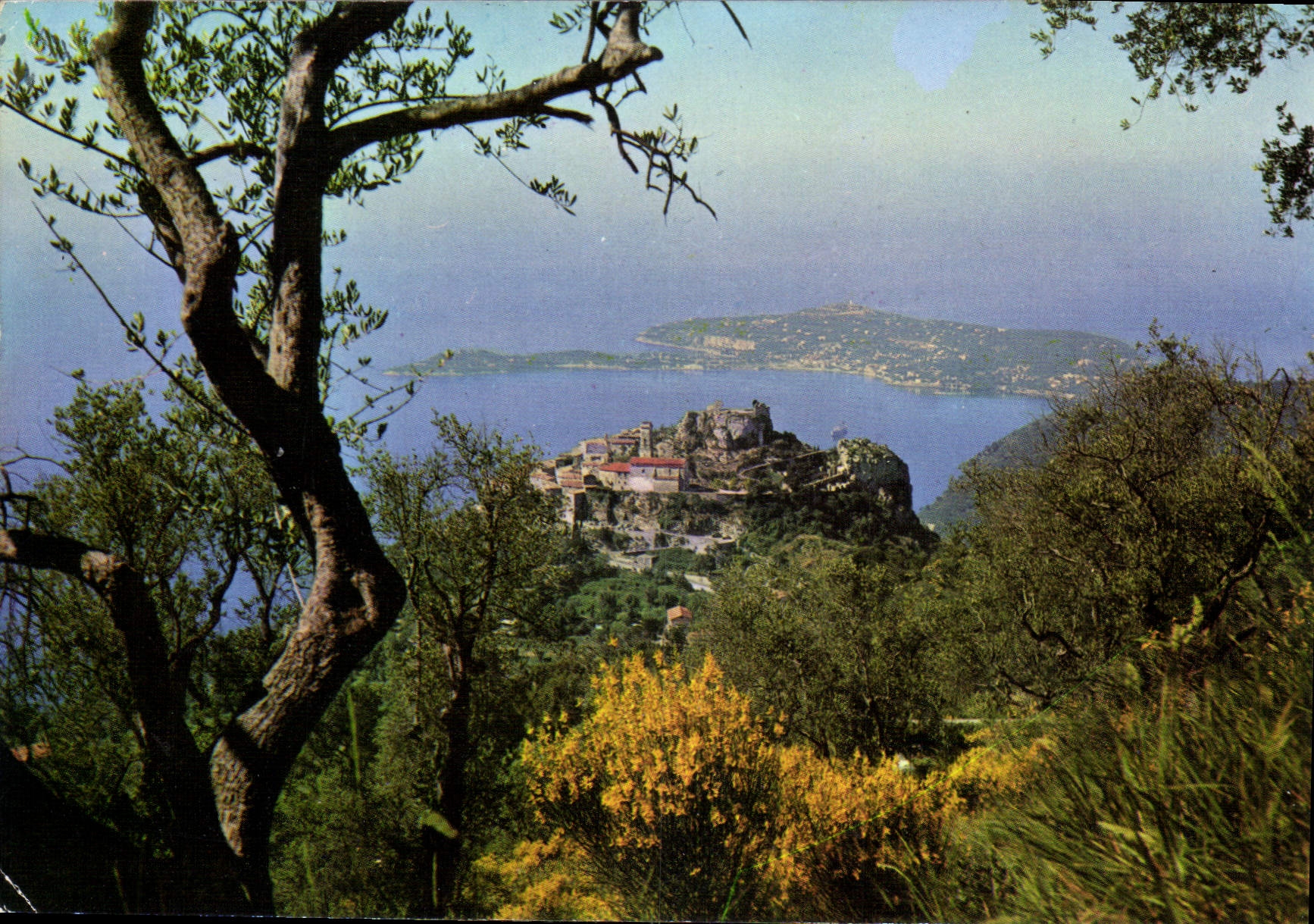 CPM Les Sites Merveilleux de la Cote d'Azur Le Pittoresque village Au fond le cap Ferrat 