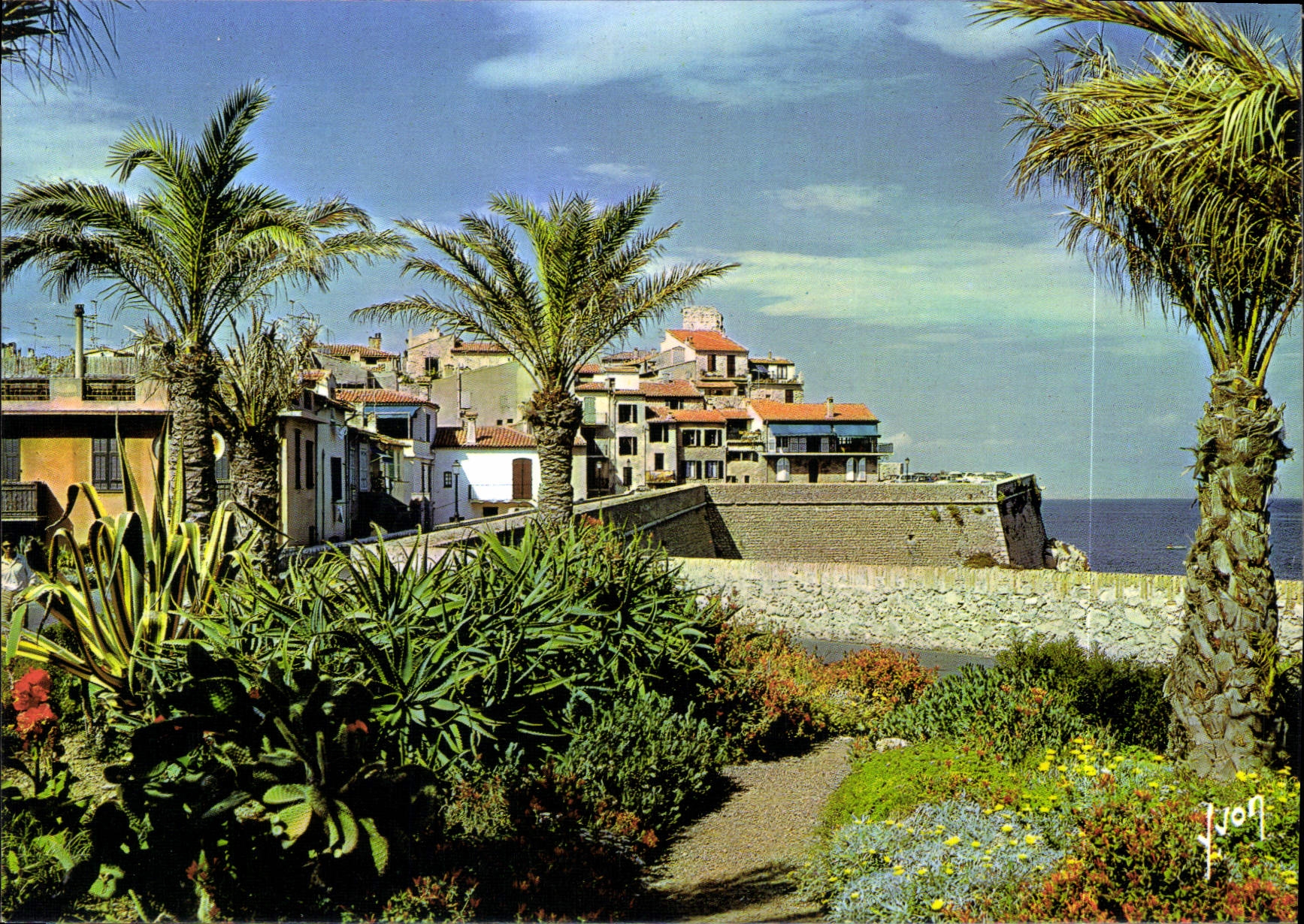 CPM Couleurs et Lumiere de France La Cote d'Azur miracle de la Nature Antibes Alpes Maritimes Les Re