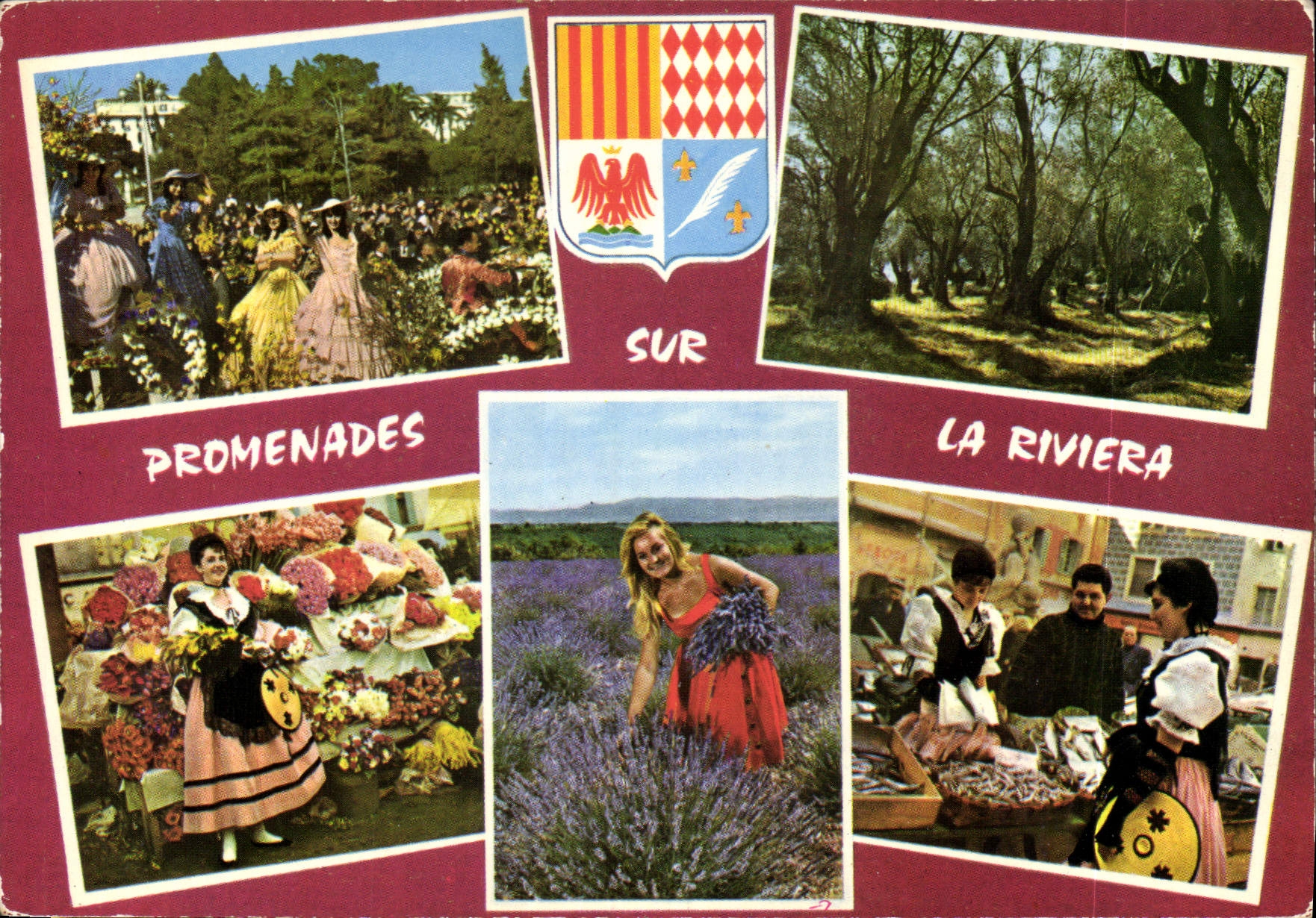 CPM Les Sites Merveilles de la Cote d'Azur Une bataille de fluers 