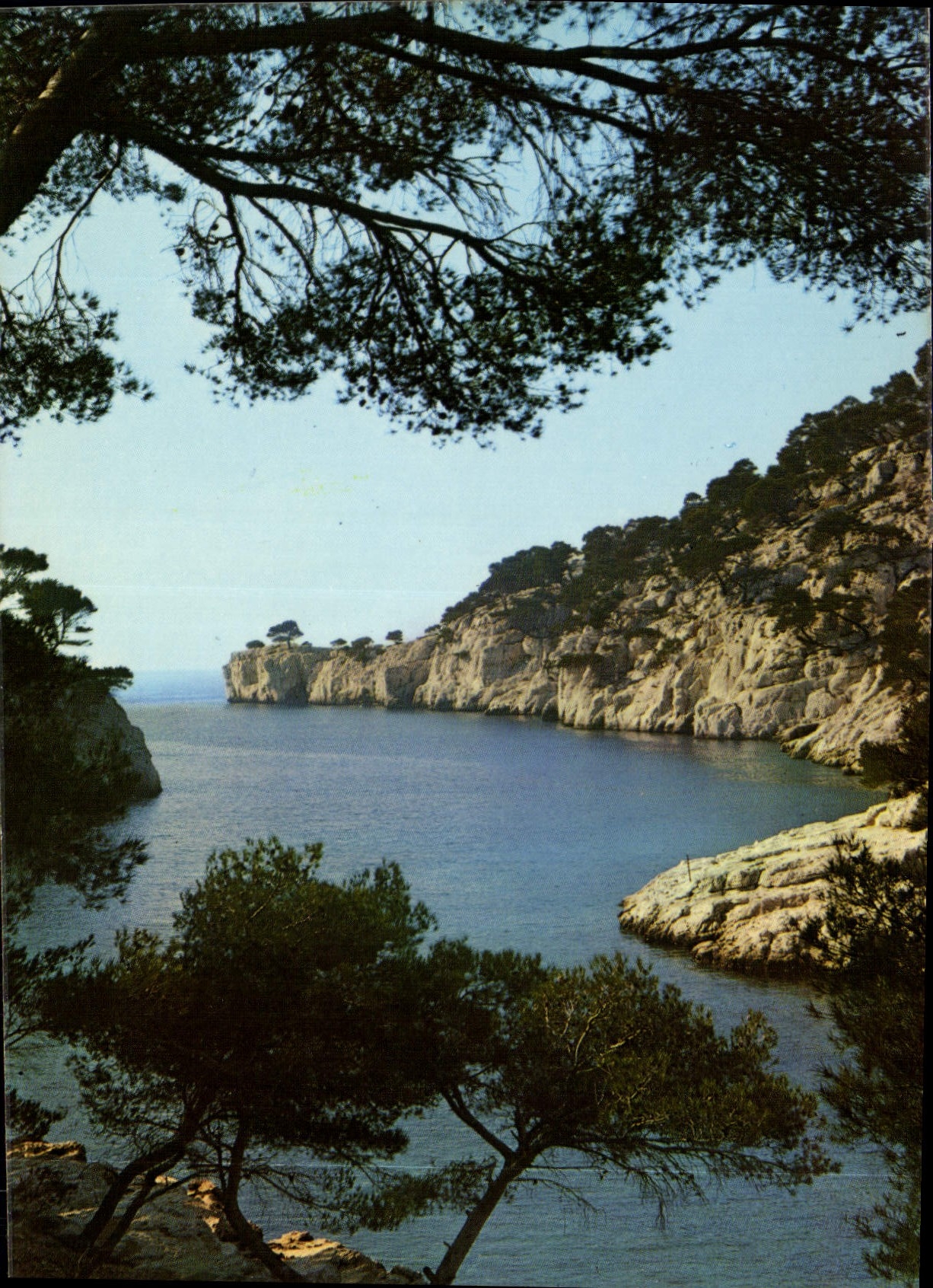 CPM Lumiere et Beaute de la Cote d'Azur 