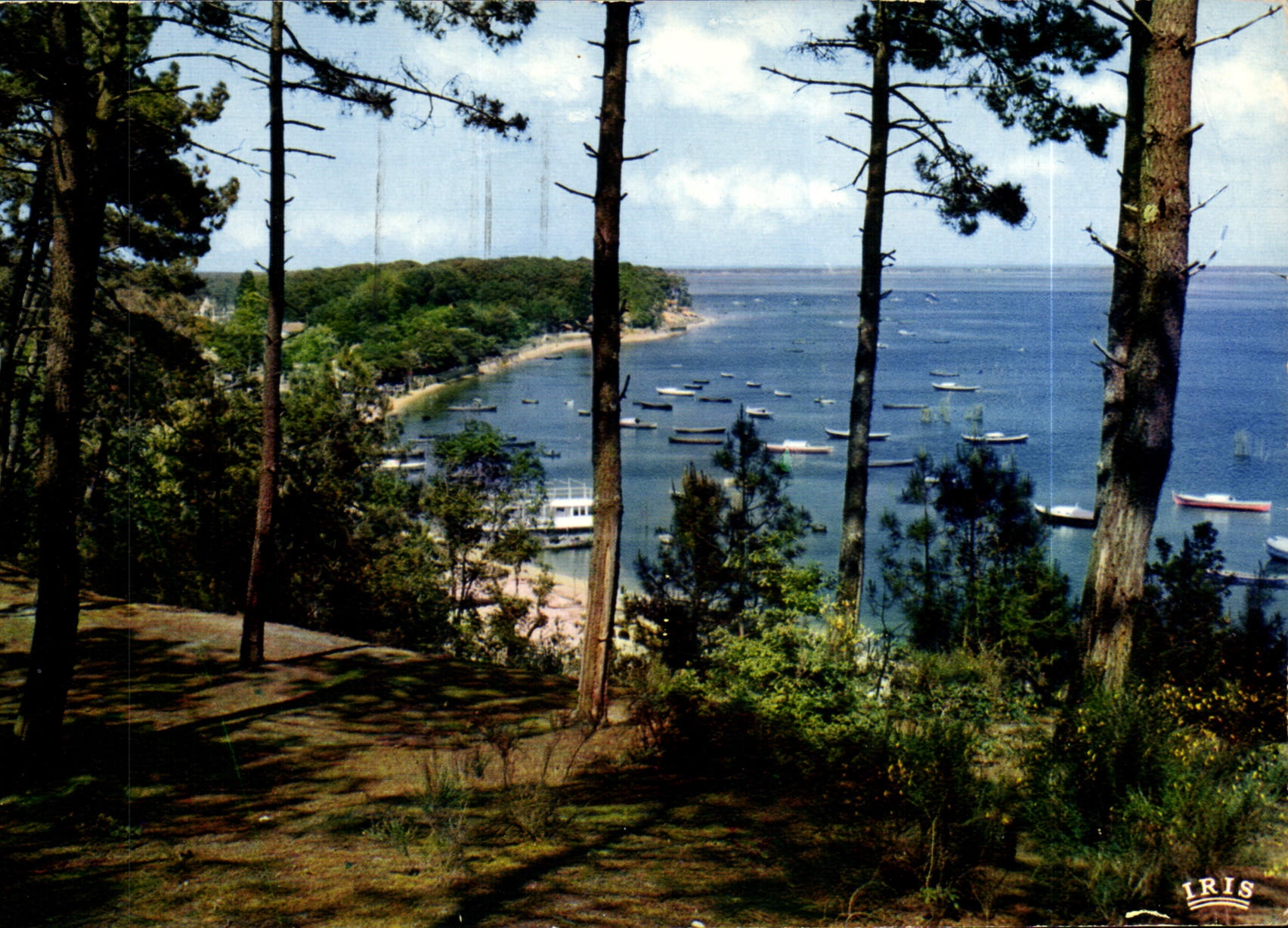 CPM Bassin d'Arcachon Vue sur la Pointe aux chevaux Piquey Plage