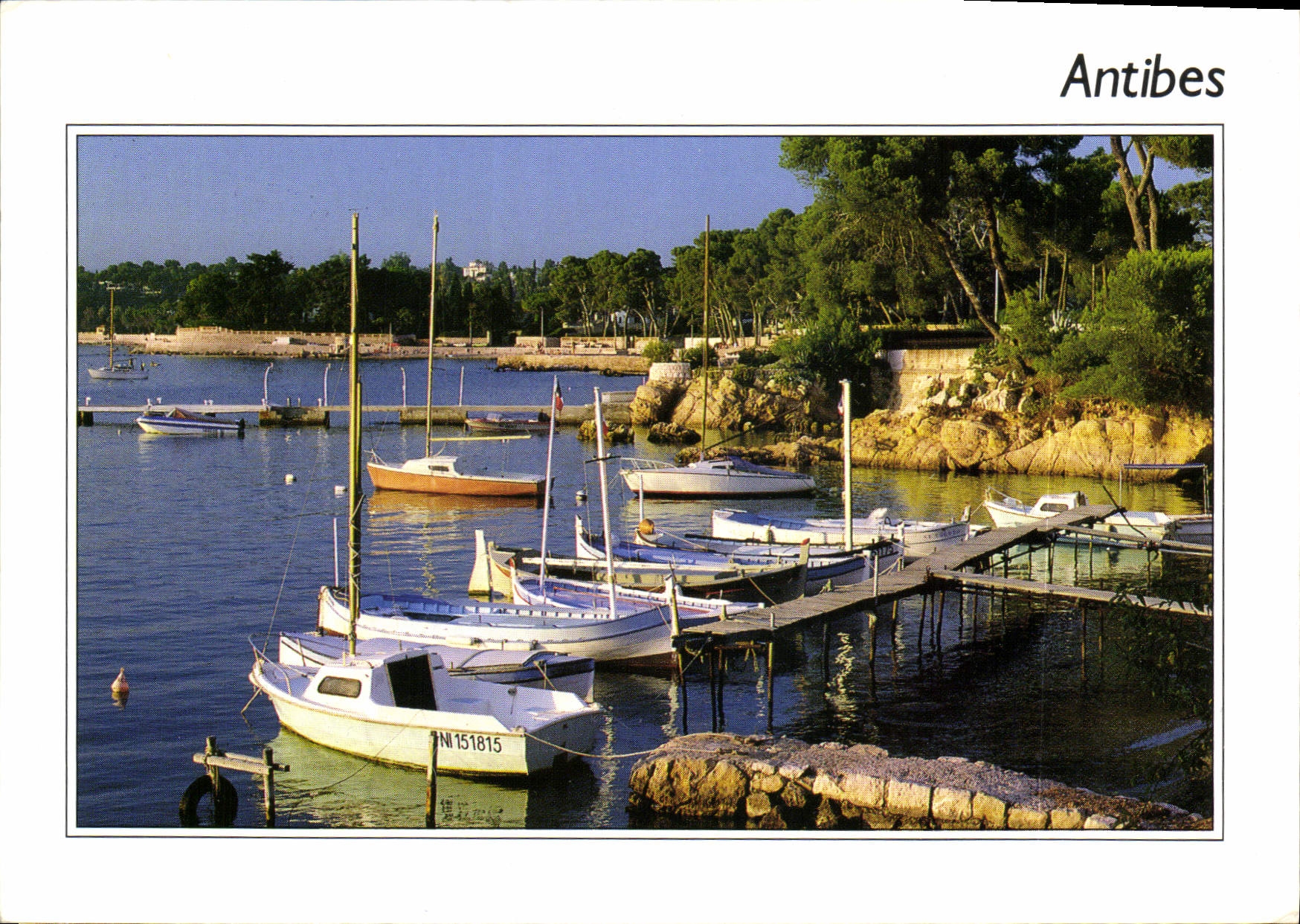 CPM Antibes Alpes Maritimes Cap d'Antibes Port de l'Olivette