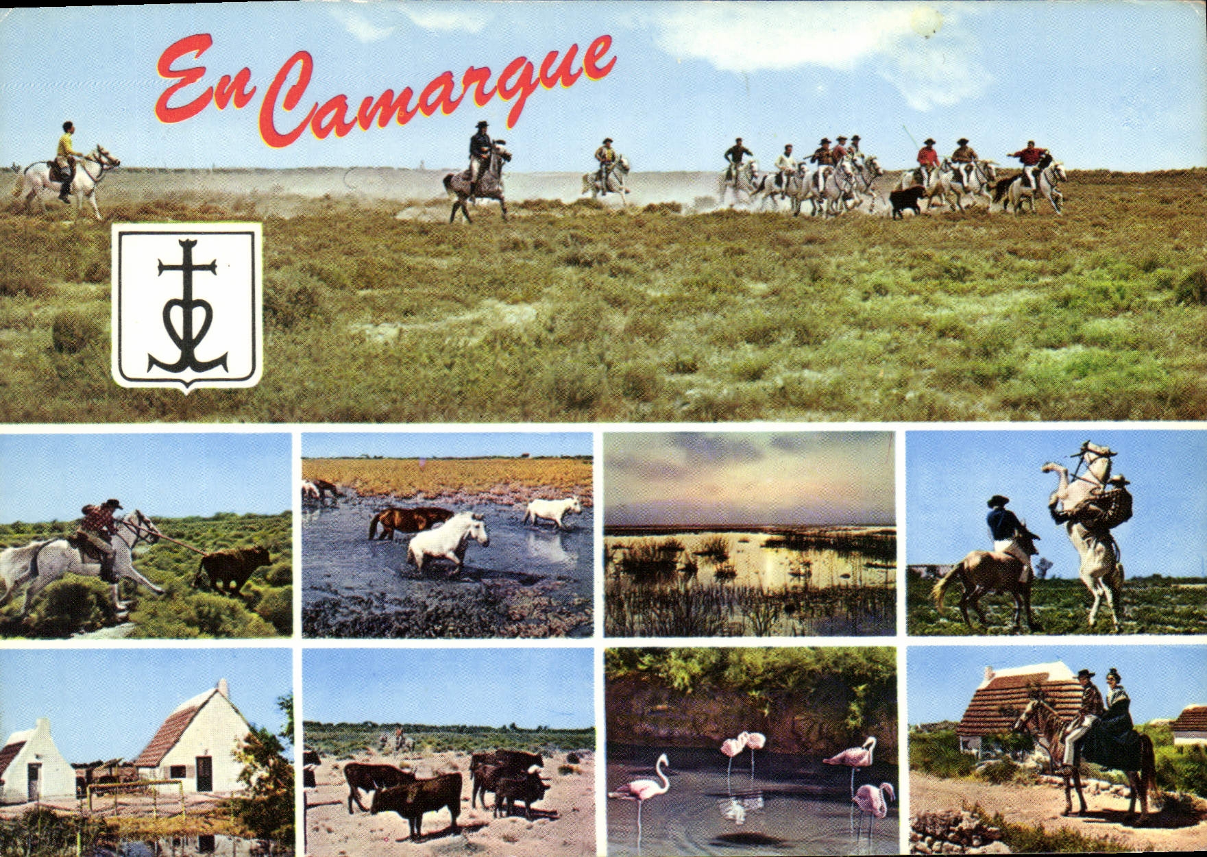 CPM Camargue 