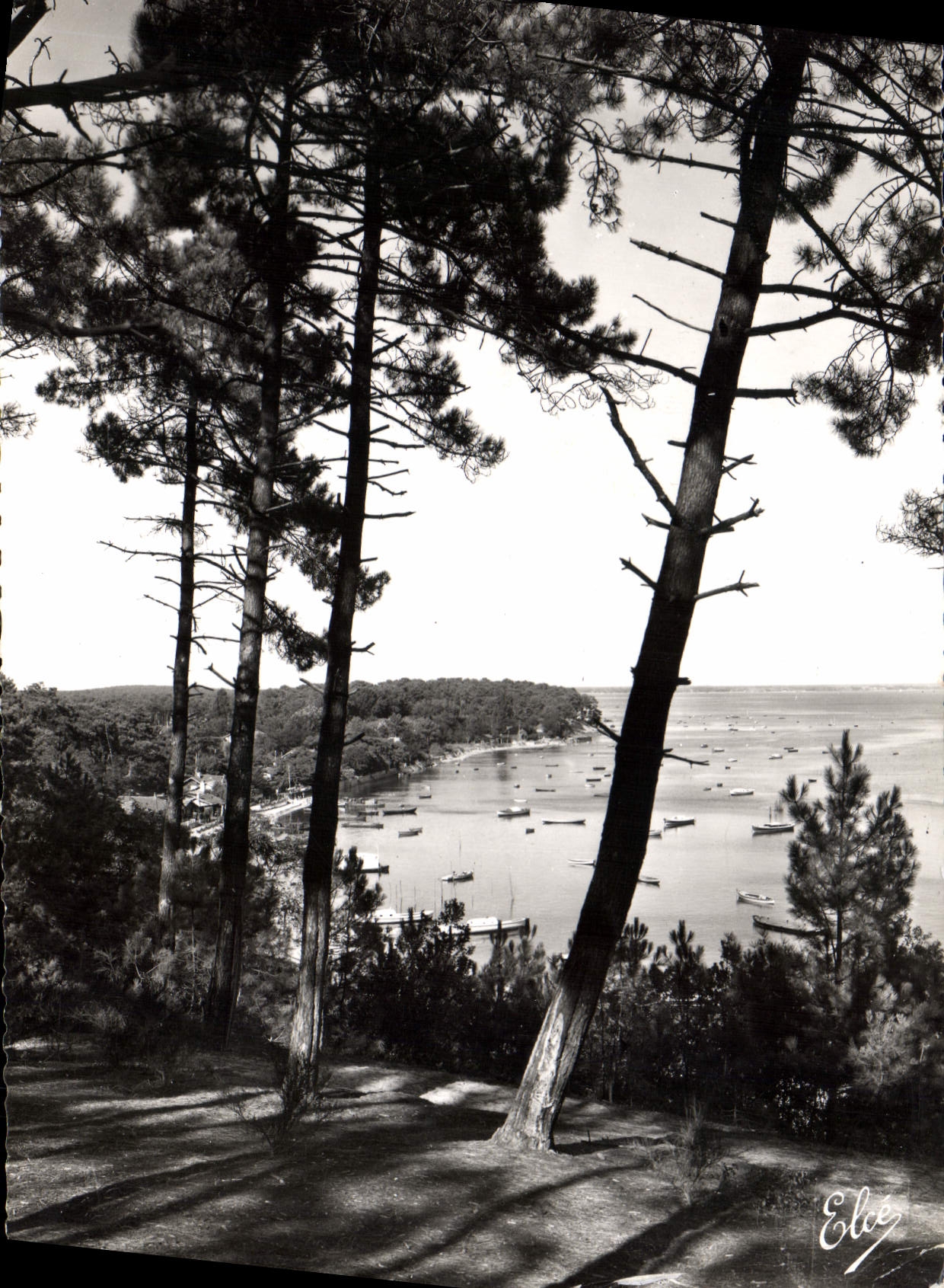 CPM Bassin d'Arcachon Gironde Echappee sur le Bassin