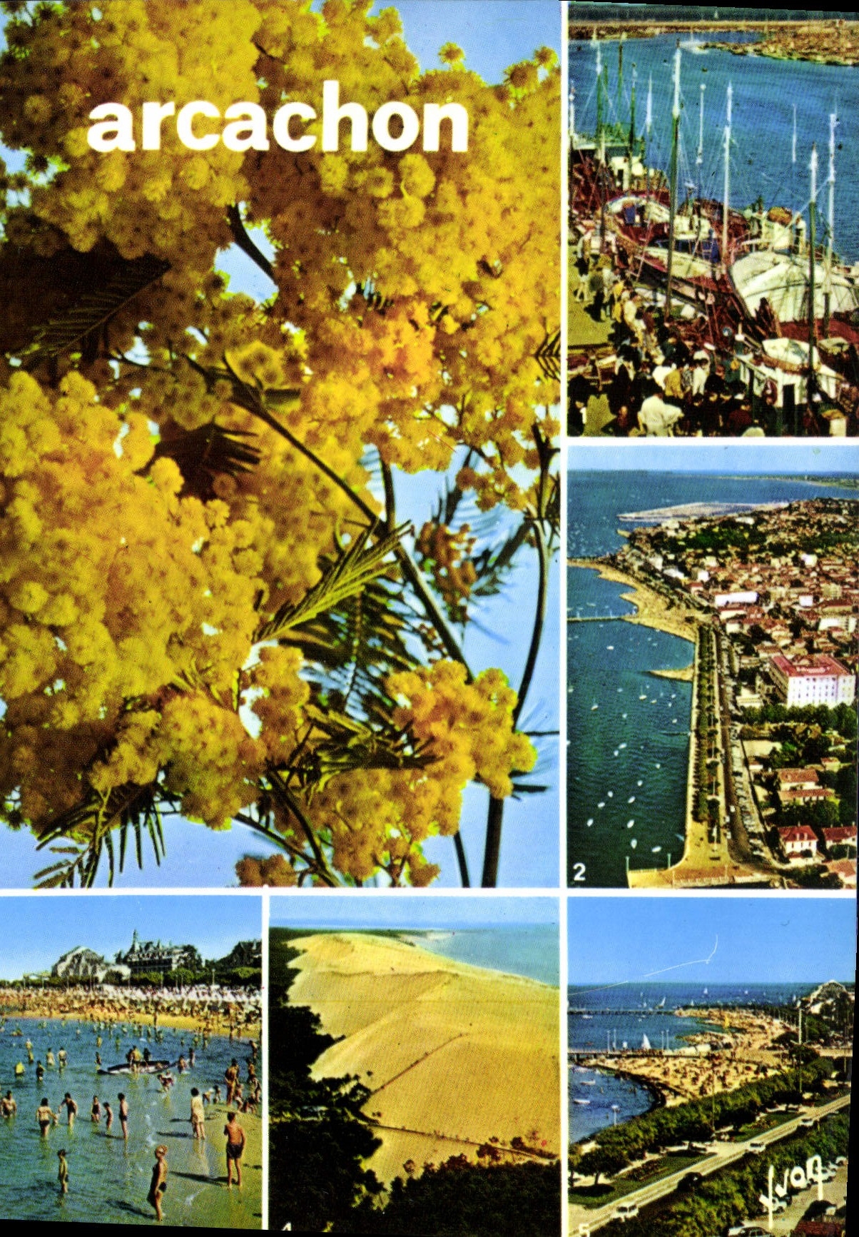 CPM Baie d'Arcachon Girond le Port de Peche le Fron de Mer la Plage la Dune du Pilat la Plage et les