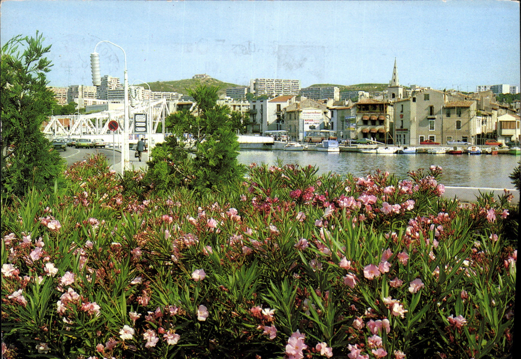 CPM Reflets de Provence Martigues B du R le Quai Kleber Paysage de Fleurs d'eau et de soleil 