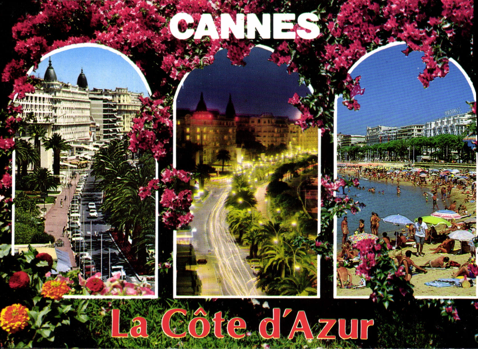 CPM Cote d'Azur Cannes 