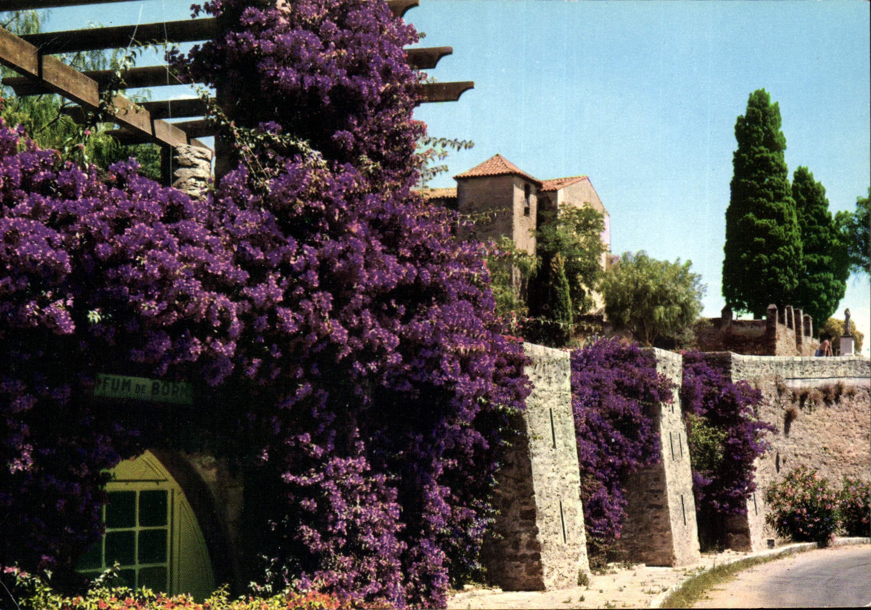CPM Cote d'Azur Pittoresque 