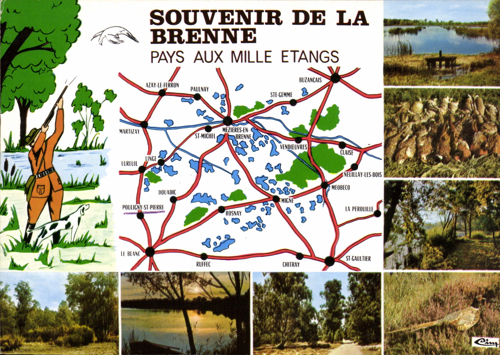 CPM Souvenir de la Brenne Pays aux Mille Etangs Chasse