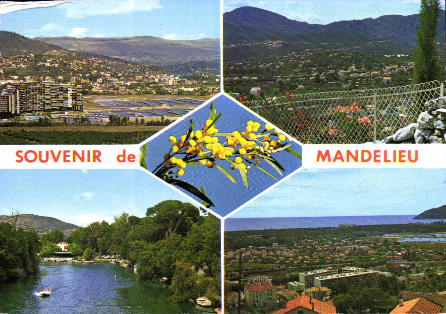 CPM Mandelieu Souvenir de Mandelieu 