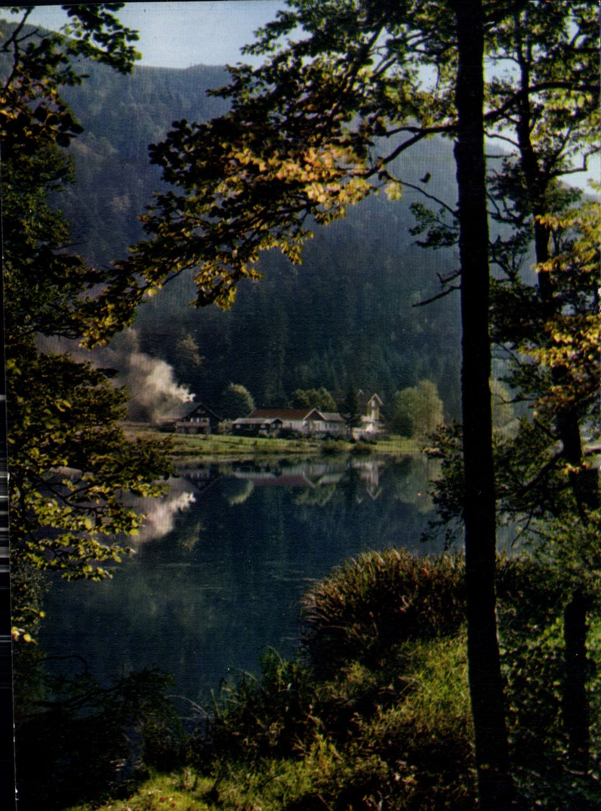 CPM Les Vosges Pittoresque Lac de Retournemer