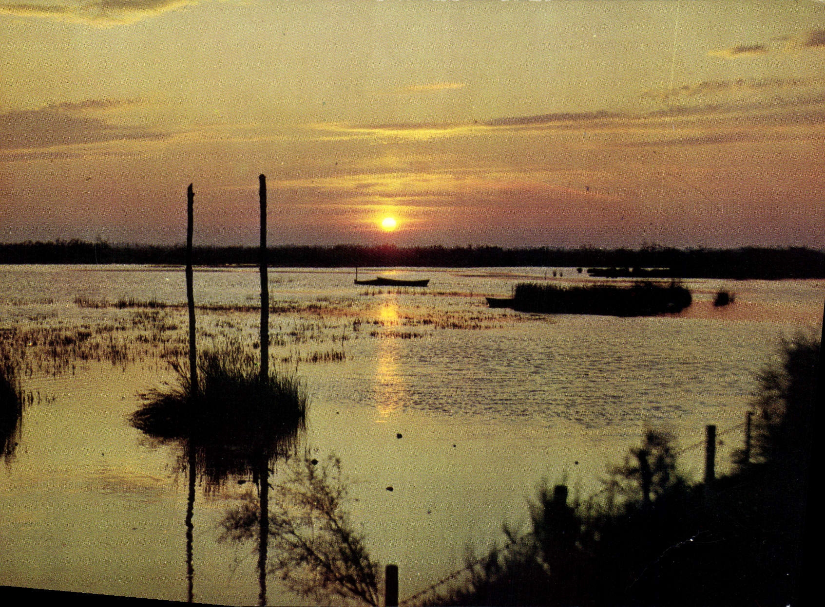 CPM Coucher de Soleil sur la Camargue 