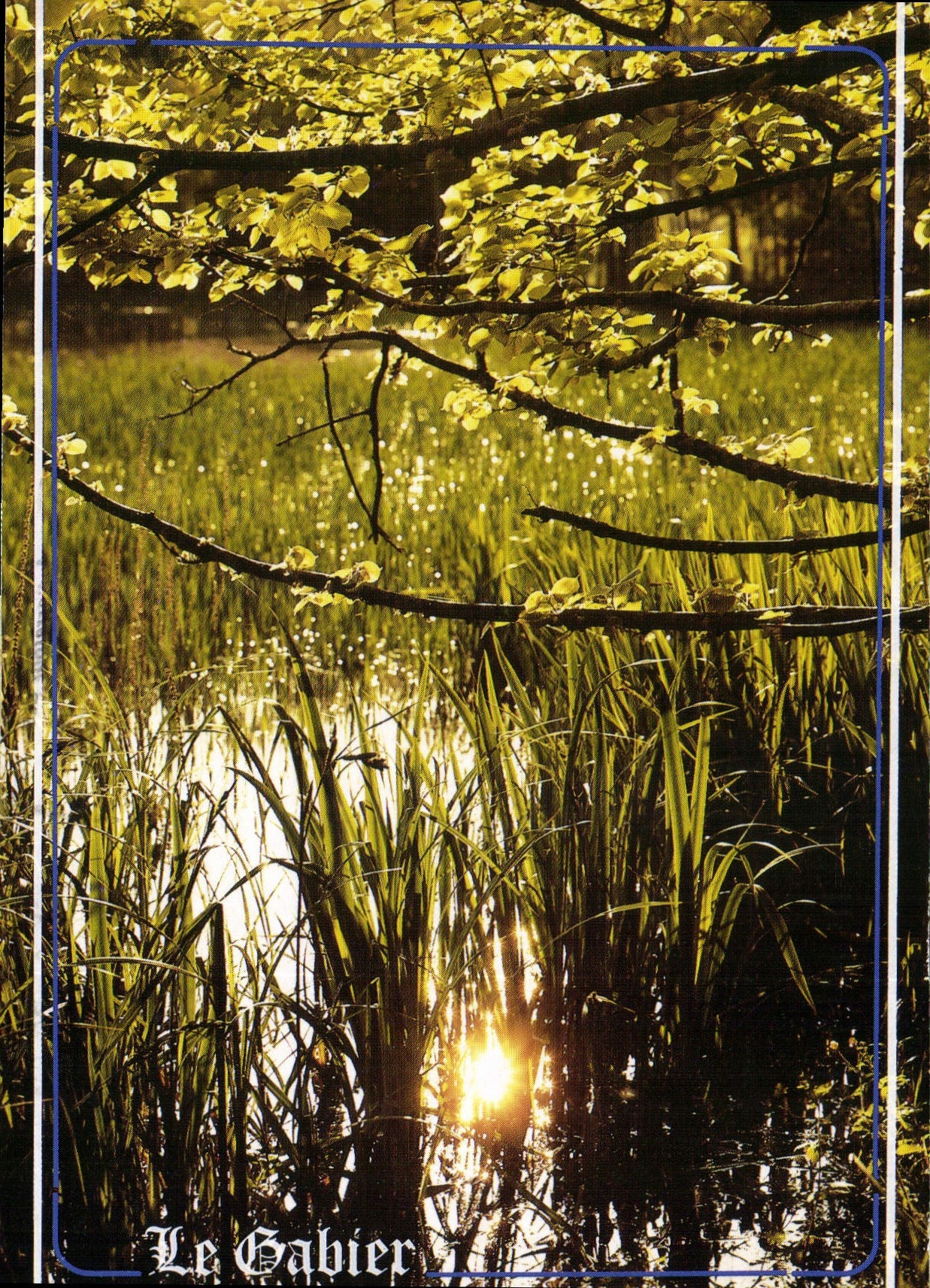 CPM Campagnes et rivieres de France Le Gabier