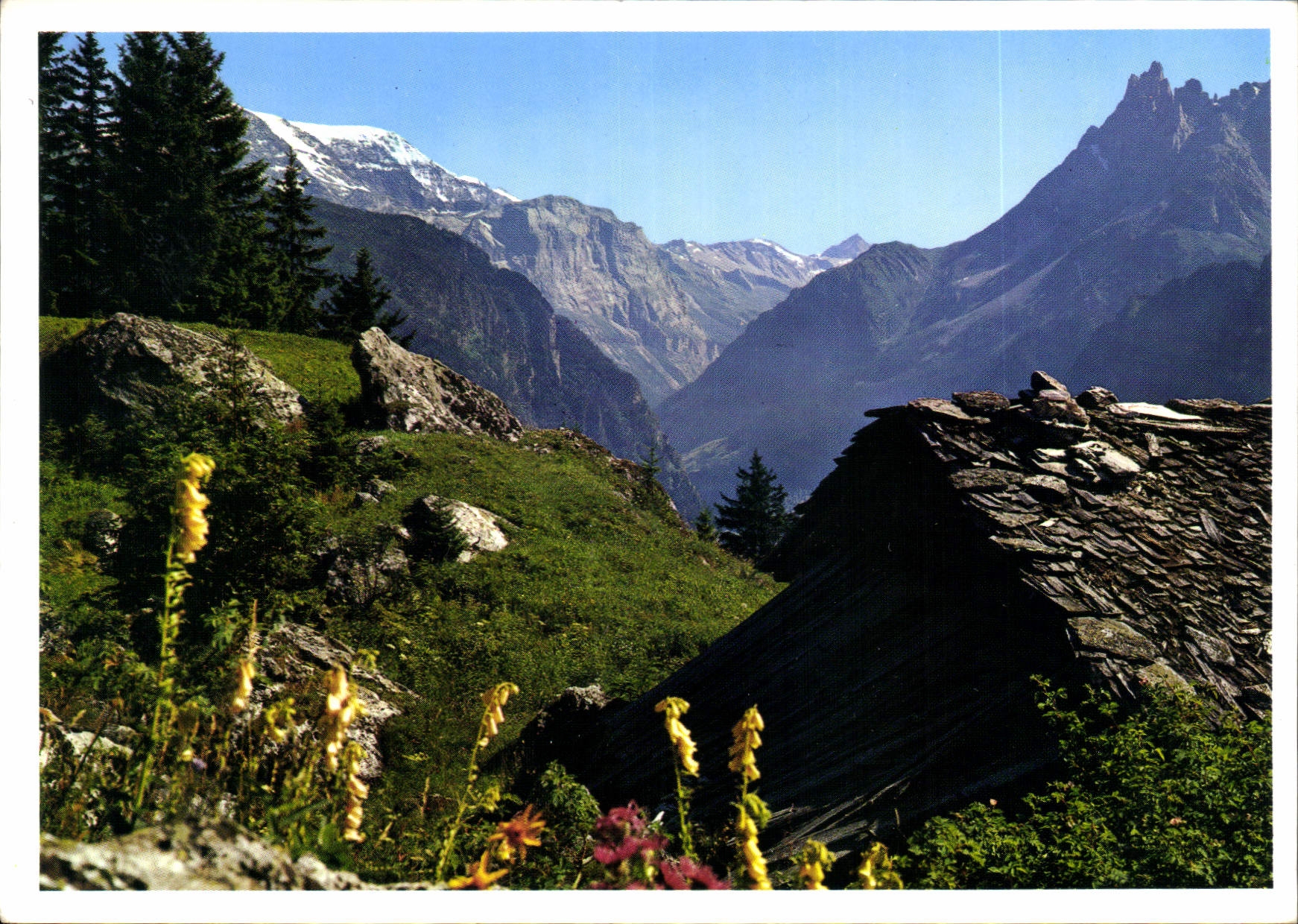 CPM Soleil et Montagne 