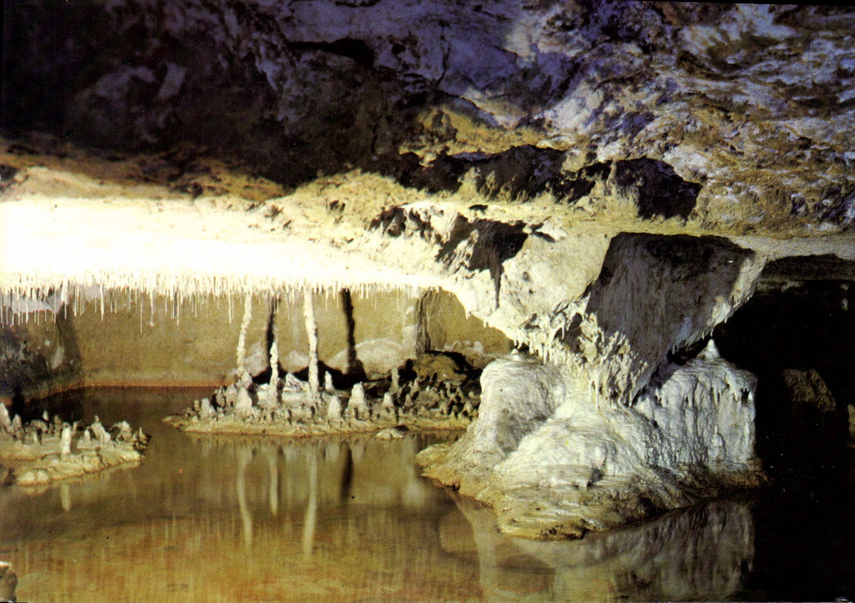 CPM En Touraine Savonniers Grottes Petrifiantes des Caves Gouttieres lac Petrifiant avec Stalactites