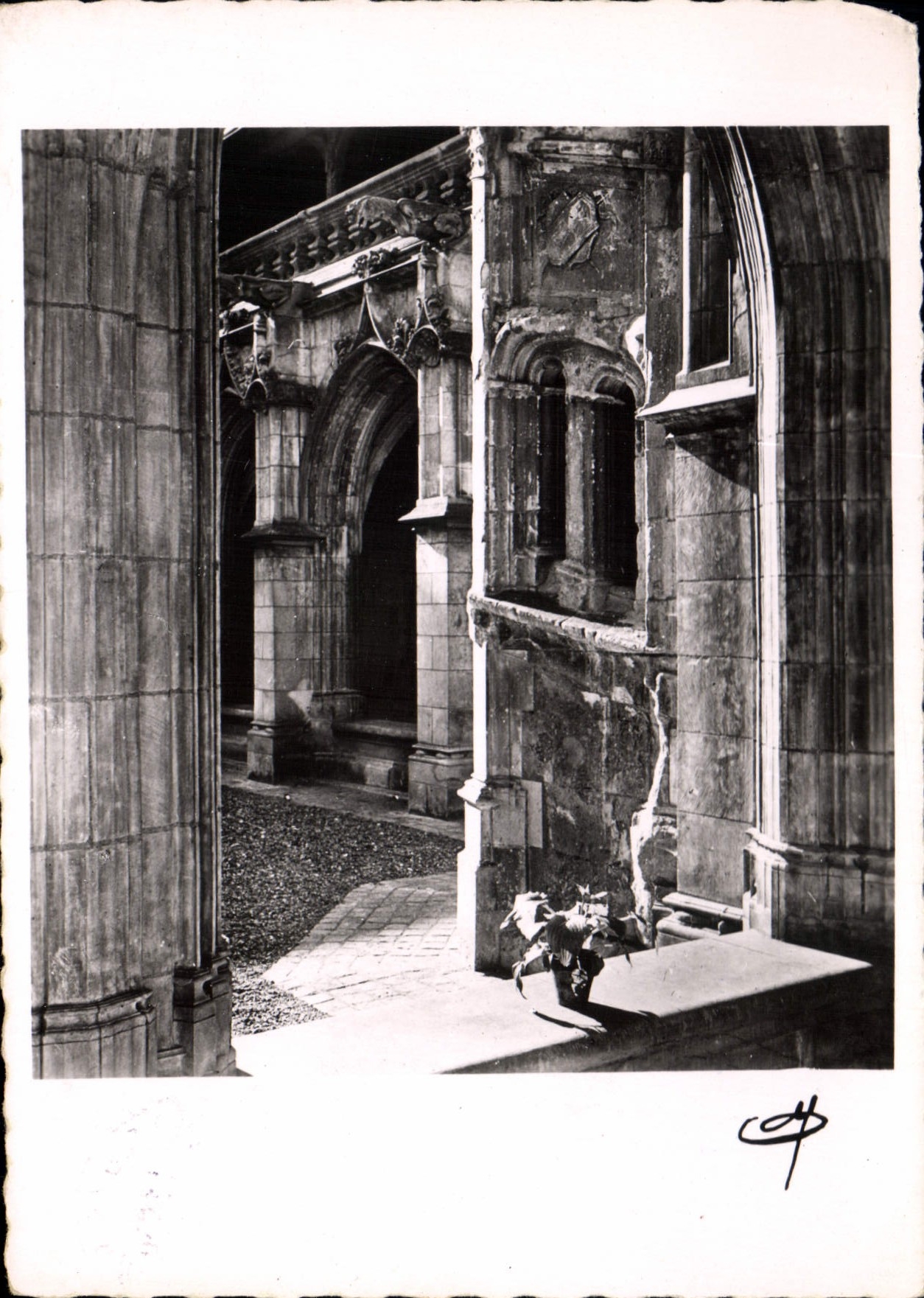 CPM Tours Cloitre de la Psalette 