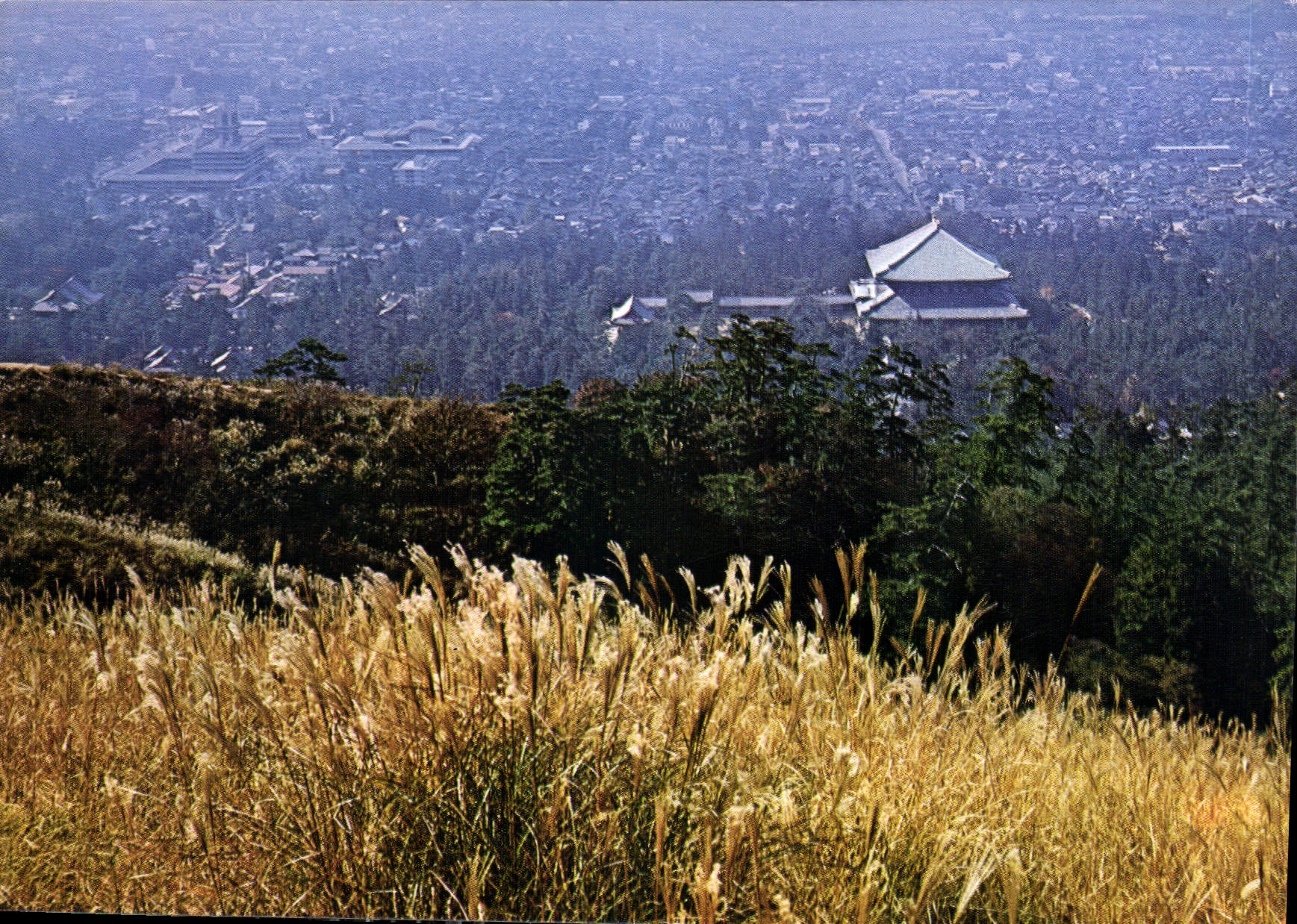 CPM Wakakusa Hill Nara 