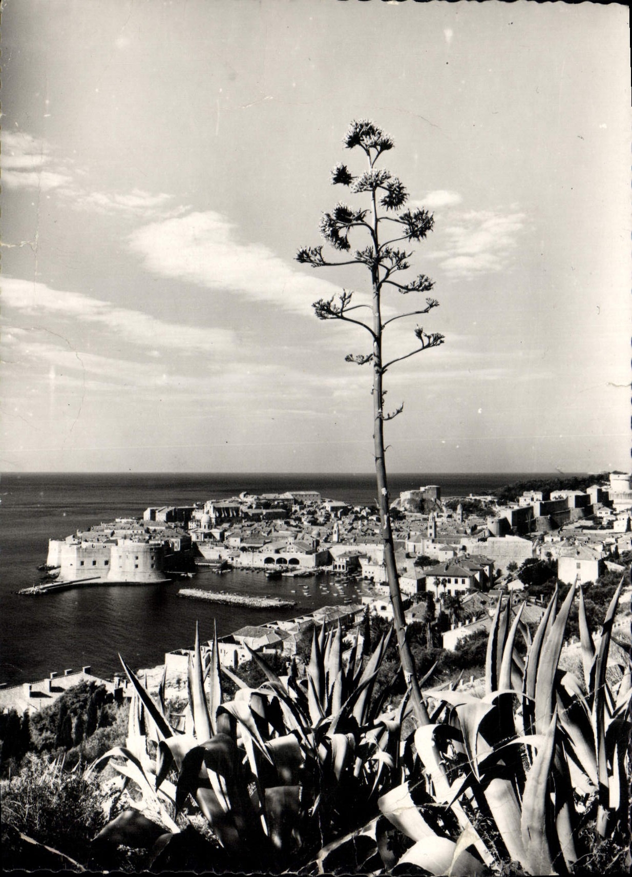 CPM Dubrovnik Panorama 