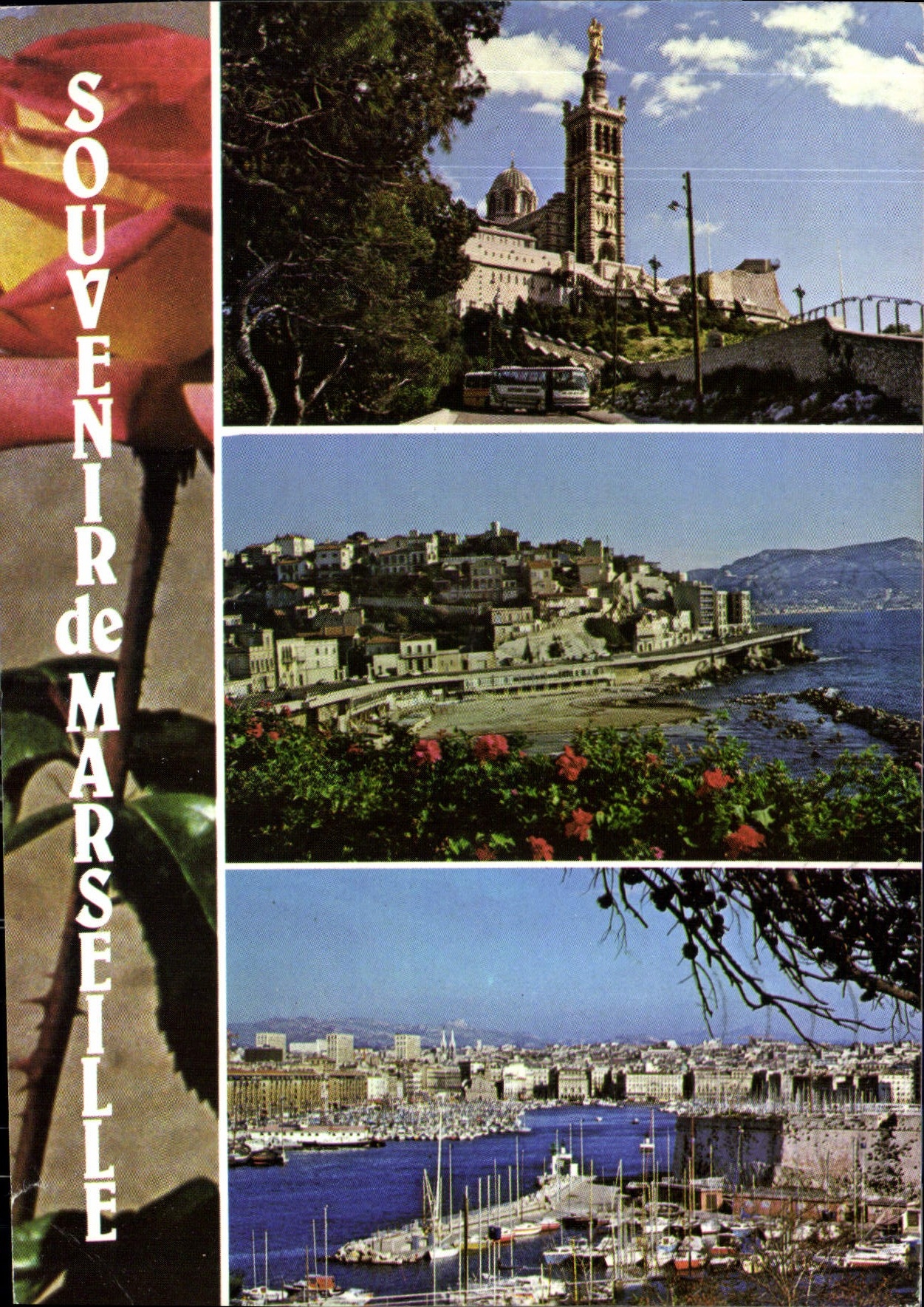 CPM Souvenir de Marseille 