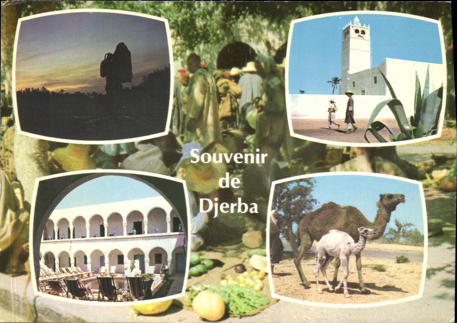 CPM Souvenir de Djerba 