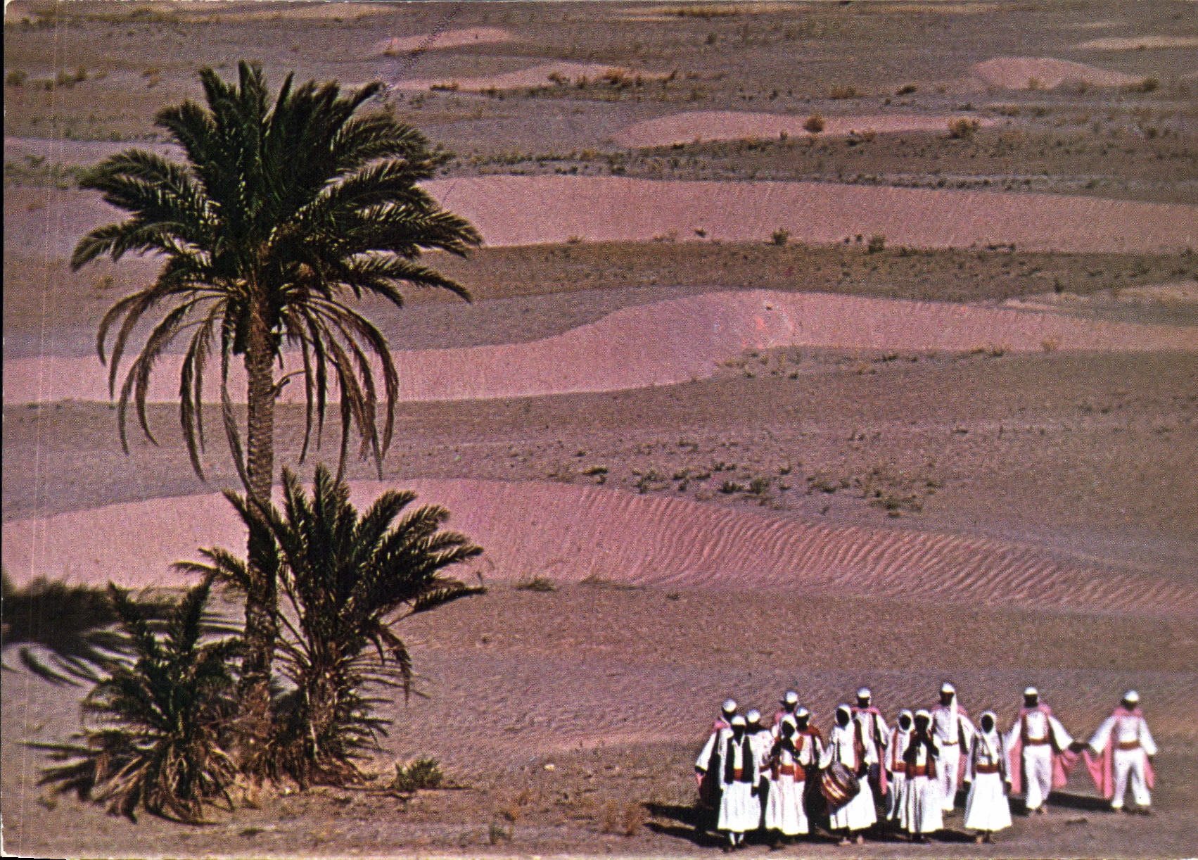 CPM Tunisie danse folklorique dans le desert 