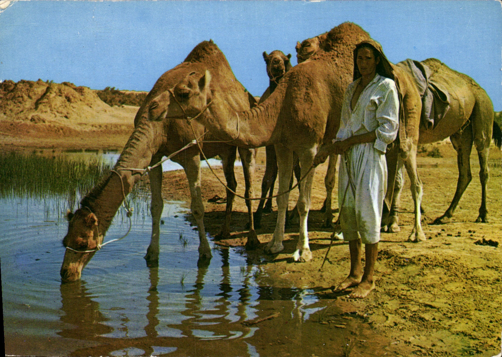 CPM Ile de Djerba sur la route du Diort 