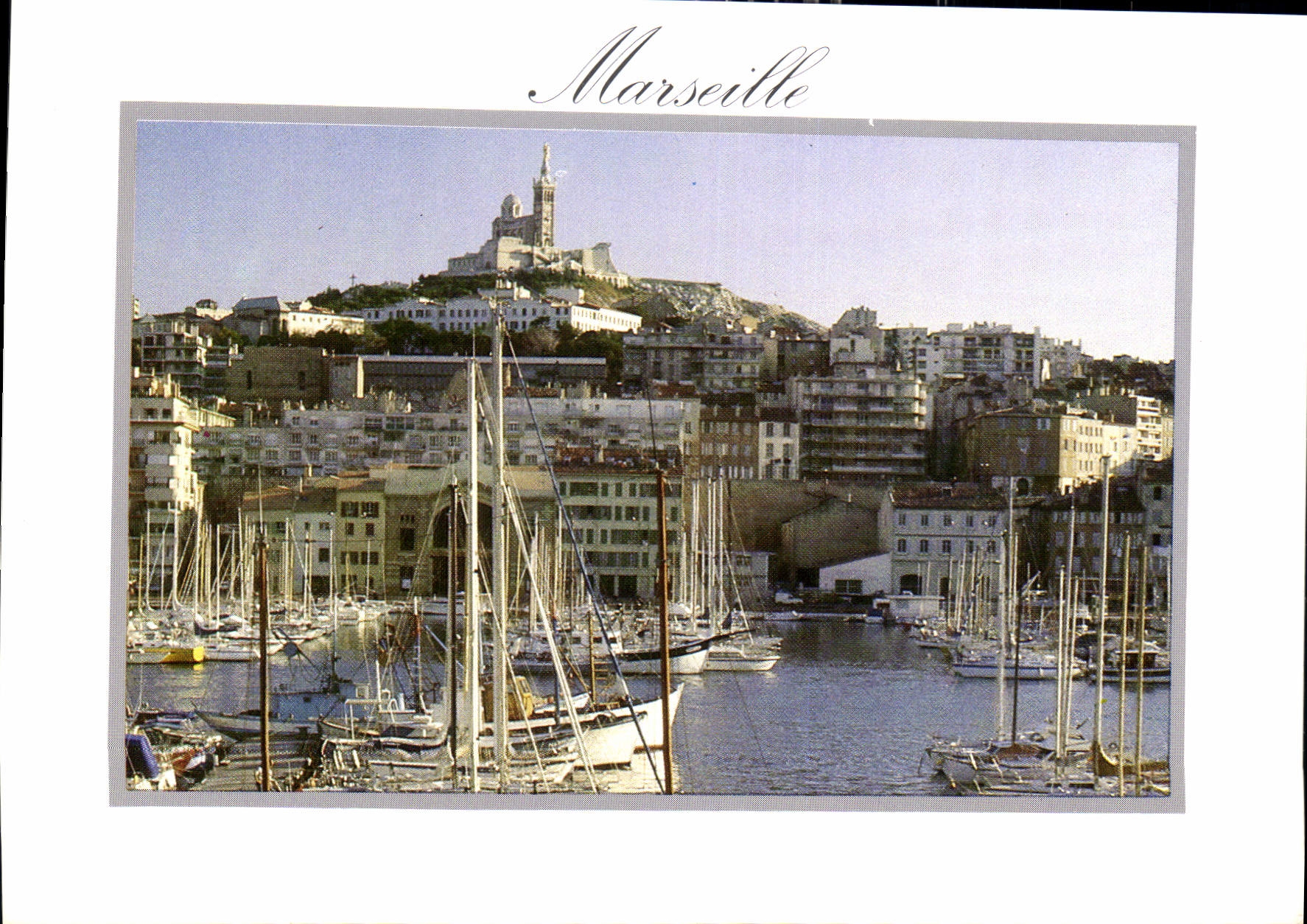 CPM Marseille Notre Dame de la Garde vus du vieux port 