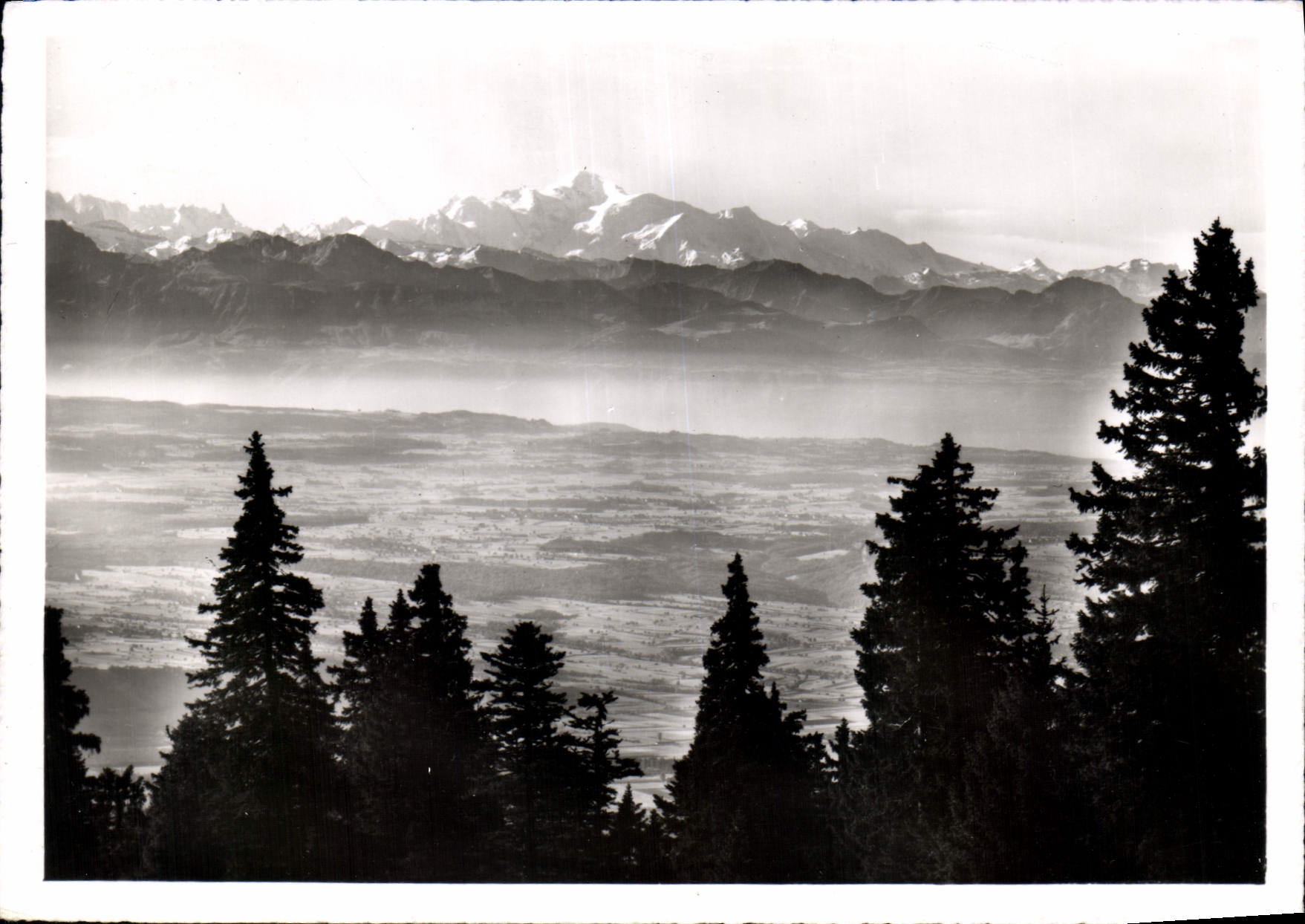CPM Le Mont Blanc et la Plaine vus du Chasseron 