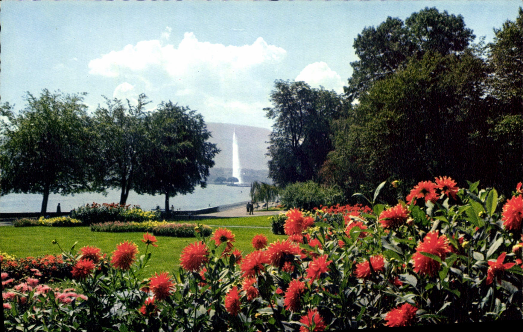 CPM Geneve le parc de la Perle du Lac 