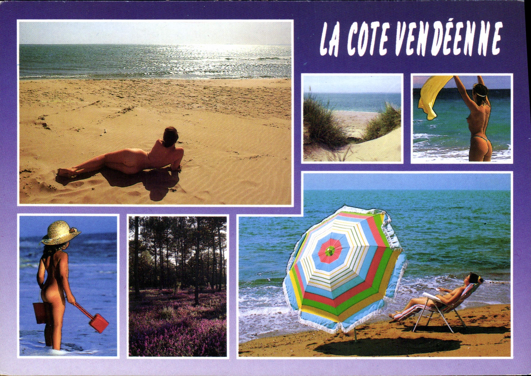 CPM La Cote Vendeenne 