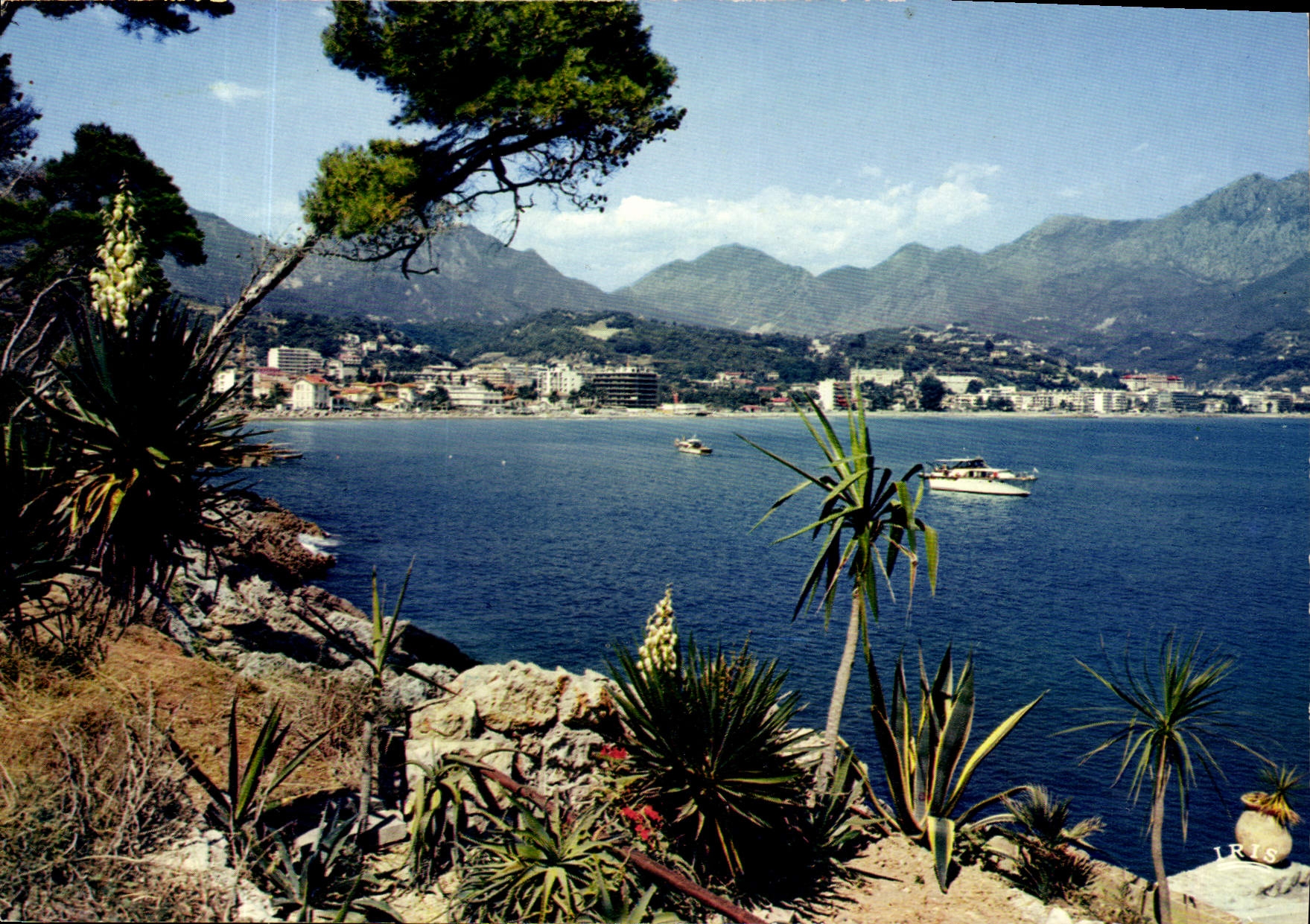 CPM La Cote d'Azur le Cap Martin au fond Menton 