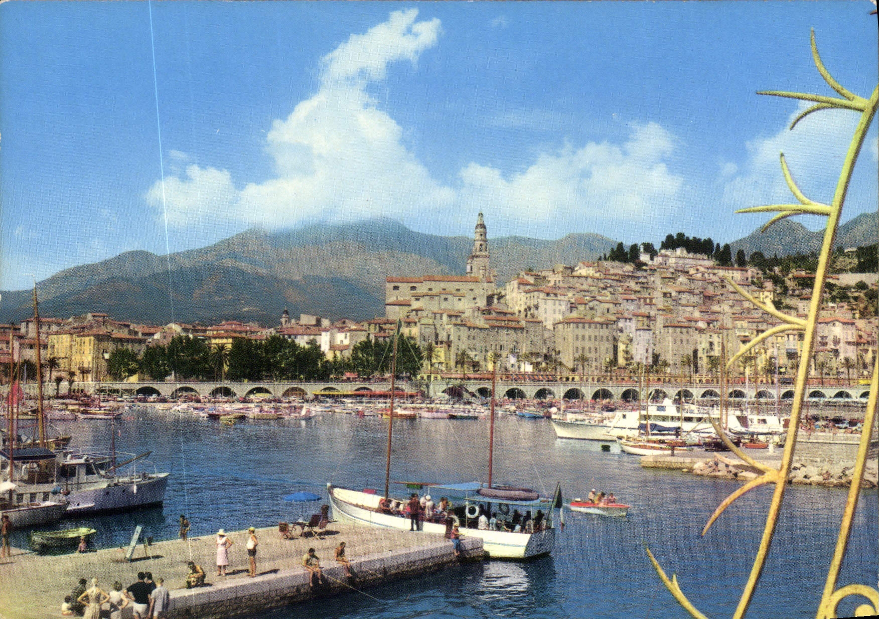 CPM La Cote d'Azur Menton le port 